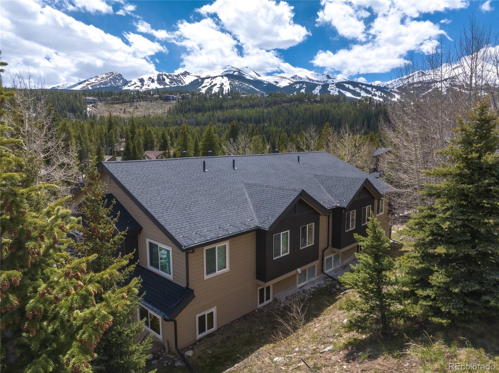 MLS Image #3 for 100  river park drive,breckenridge, Colorado
