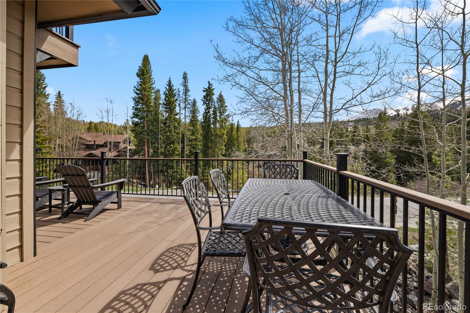 MLS Image #4 for 100  river park drive,breckenridge, Colorado