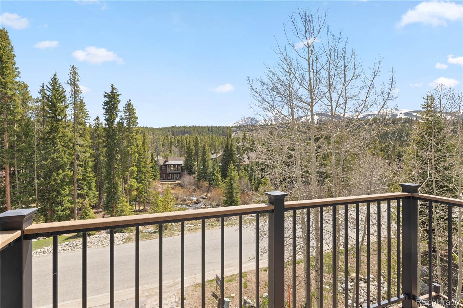 MLS Image #5 for 100  river park drive,breckenridge, Colorado