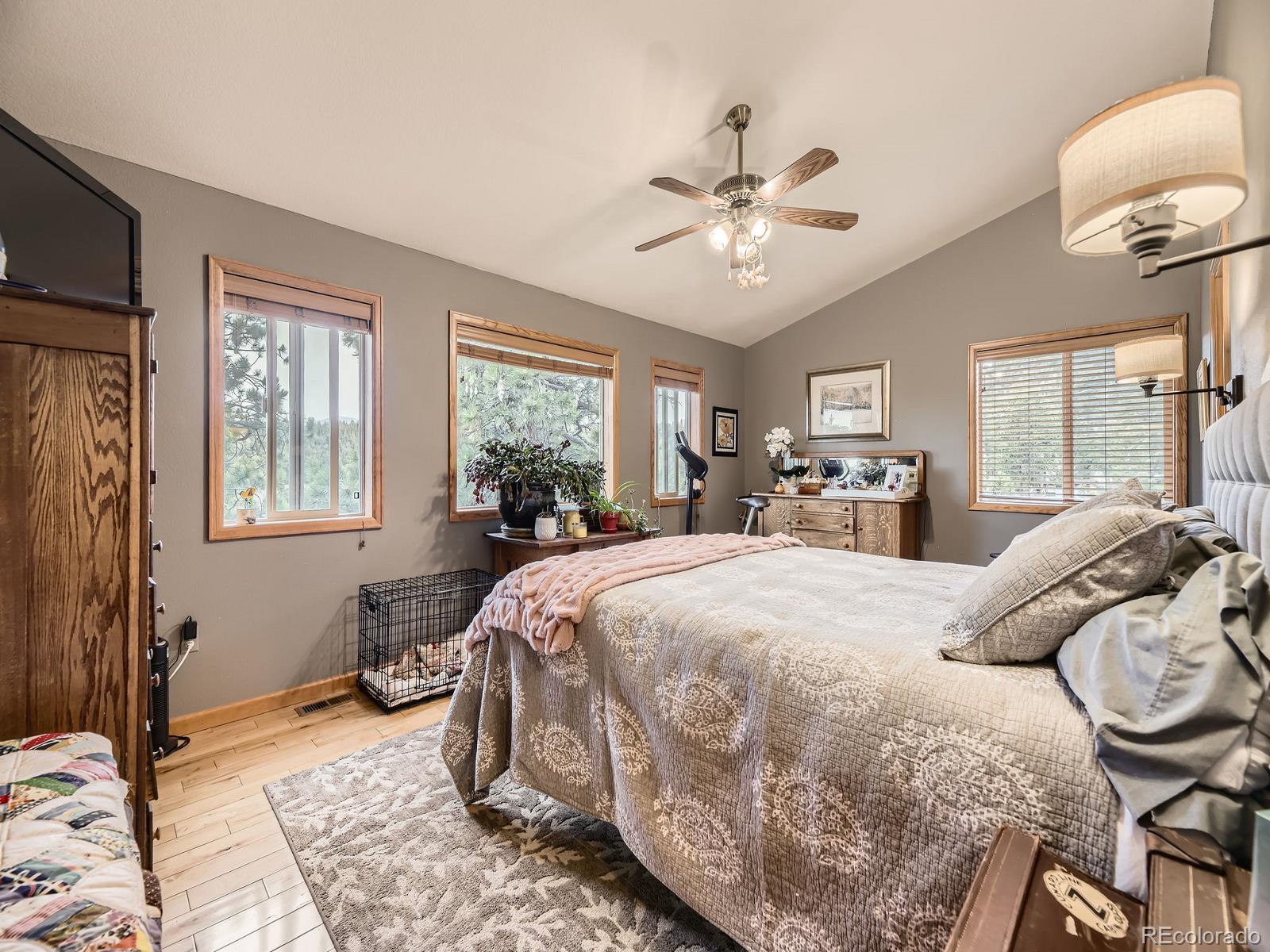 MLS Image #11 for 378  conifer drive,bailey, Colorado