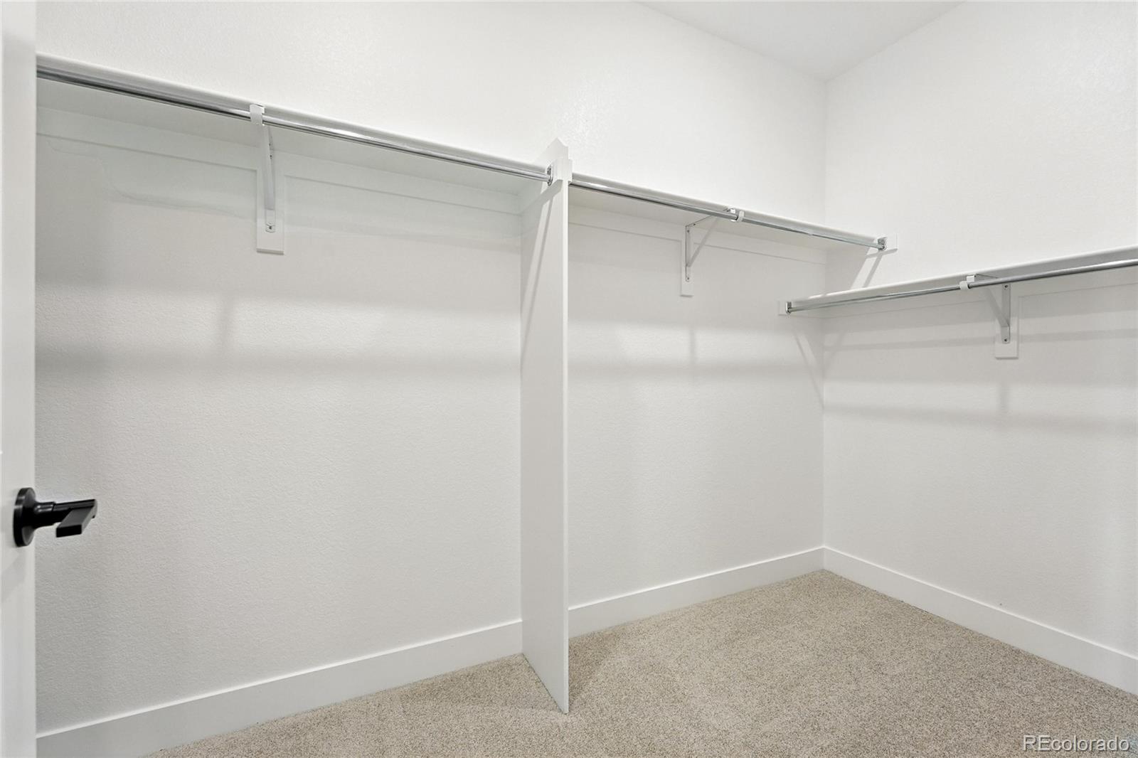 MLS Image #18 for 1672  fox trotter point,castle rock, Colorado
