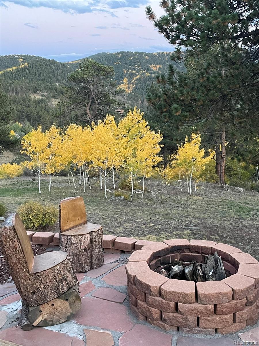MLS Image #21 for 351 n saddle drive,idaho springs, Colorado