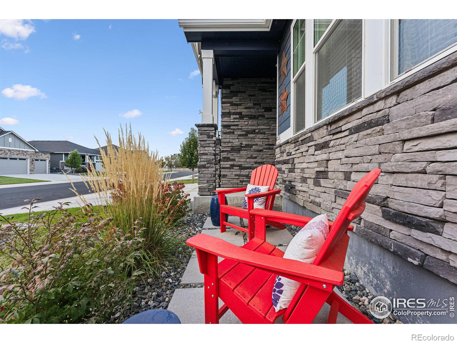 MLS Image #8 for 8938  ferncrest street,longmont, Colorado