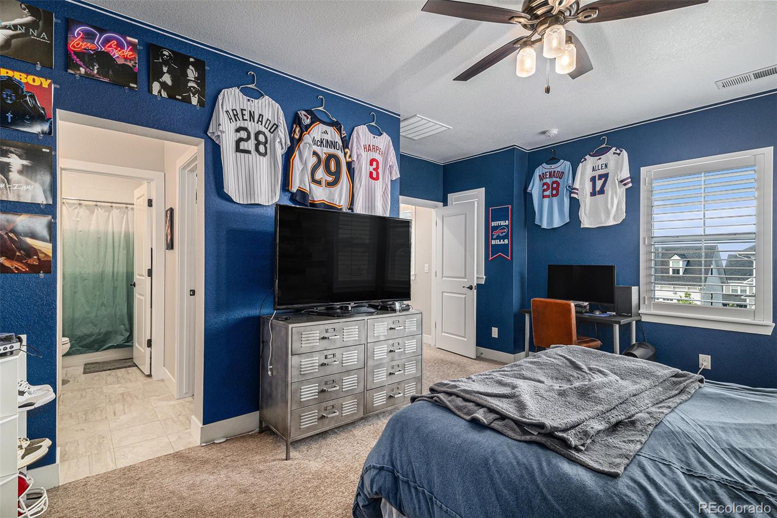 MLS Image #27 for 9380  bear river street,littleton, Colorado