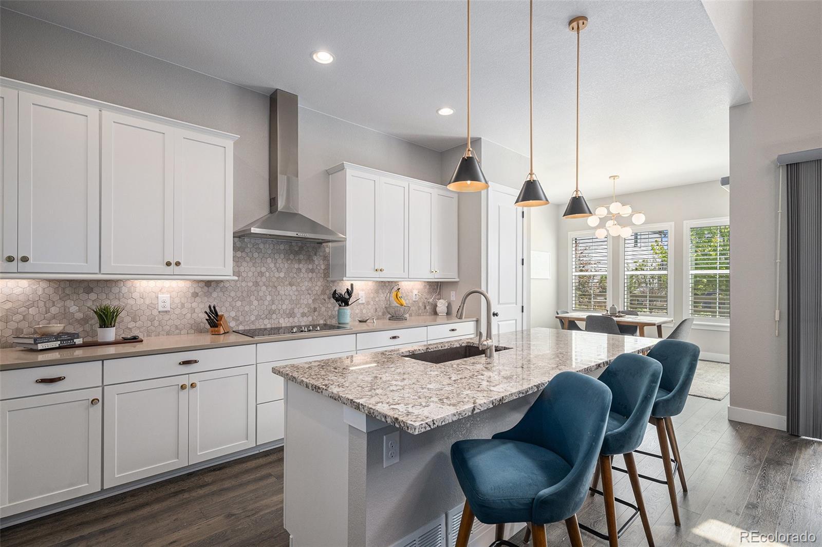 MLS Image #6 for 9380  bear river street,littleton, Colorado
