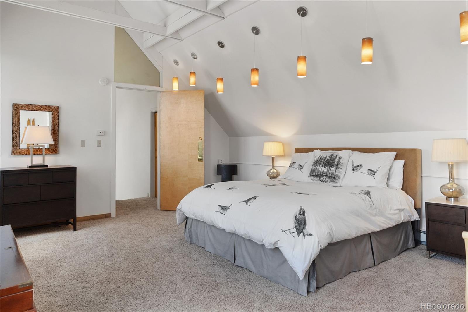 MLS Image #40 for 131 w 5th street,leadville, Colorado