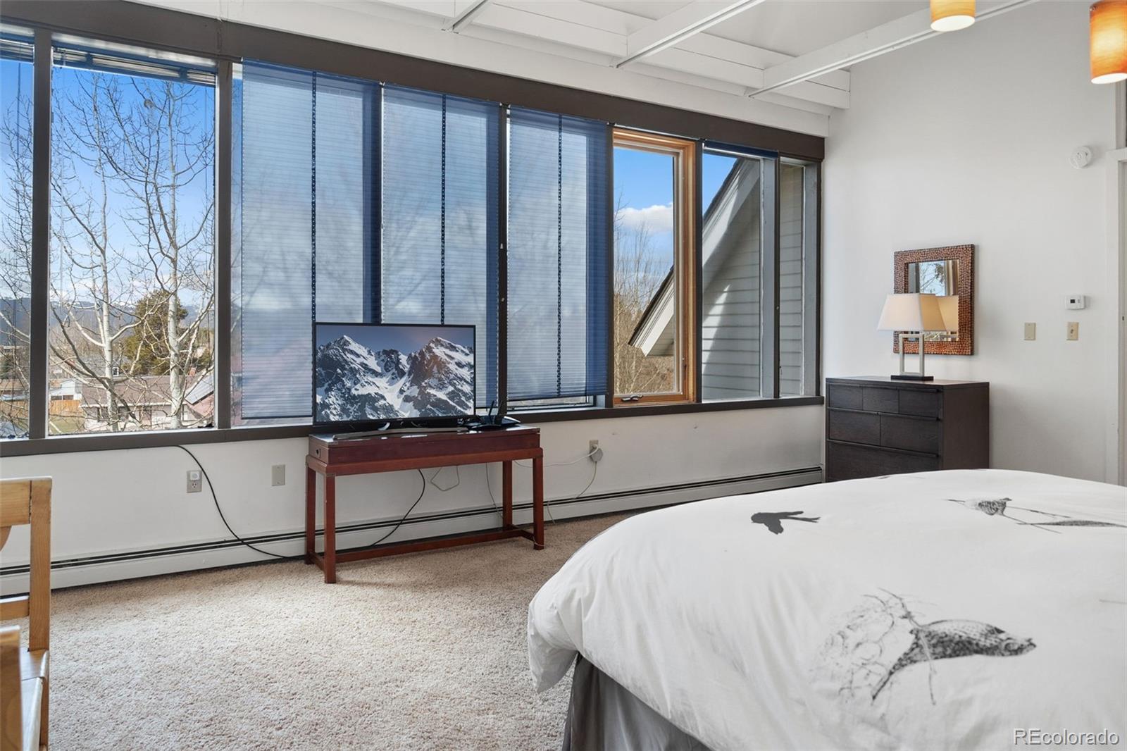 MLS Image #41 for 131 w 5th street,leadville, Colorado