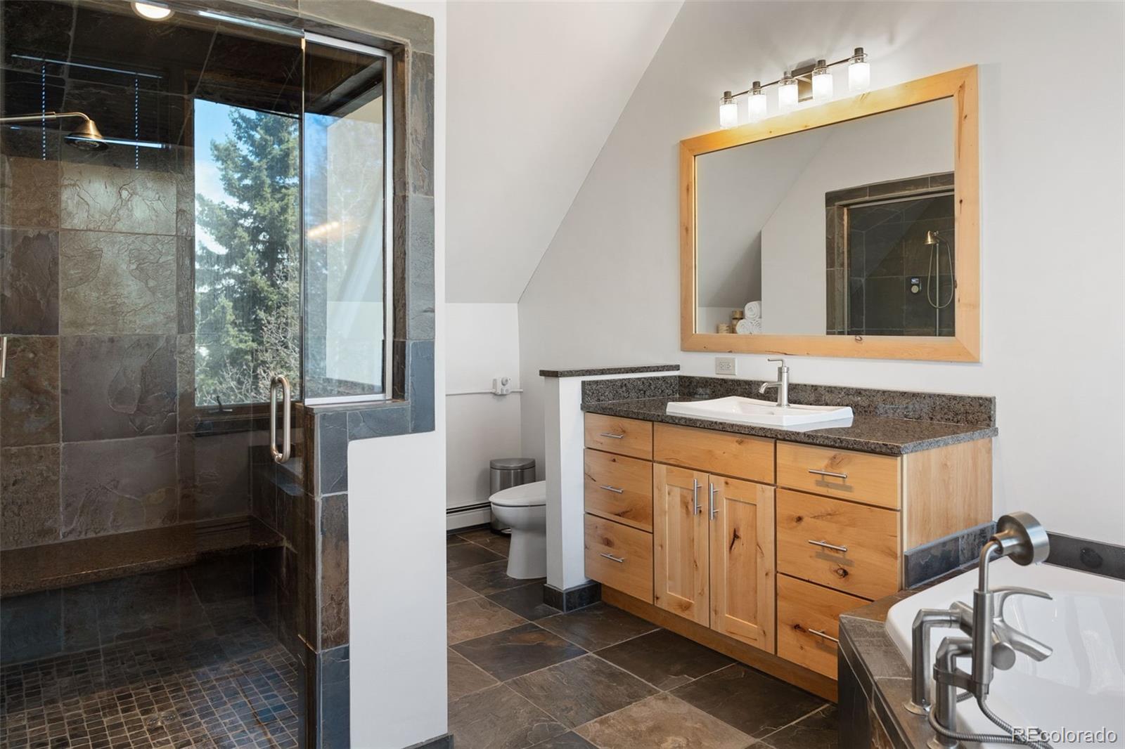 MLS Image #42 for 131 w 5th street,leadville, Colorado