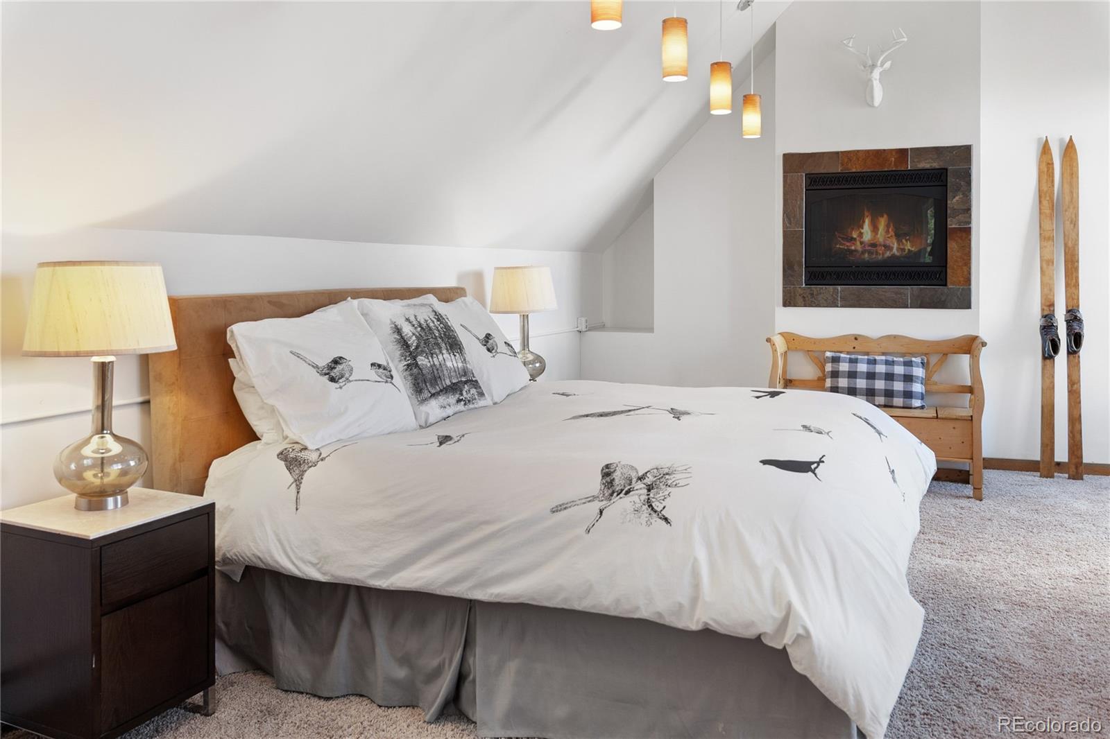 MLS Image #44 for 131 w 5th street,leadville, Colorado