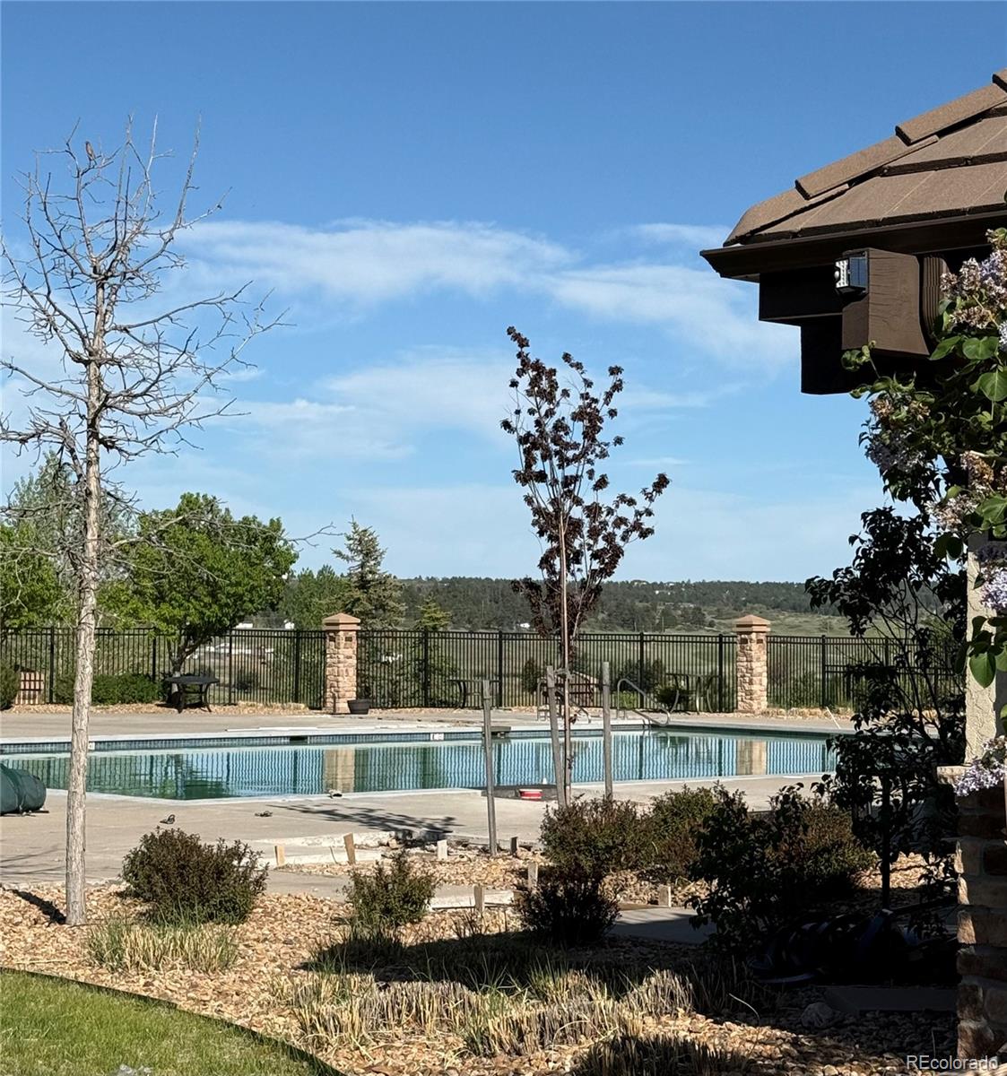 MLS Image #46 for 6899  petunia place,castle rock, Colorado