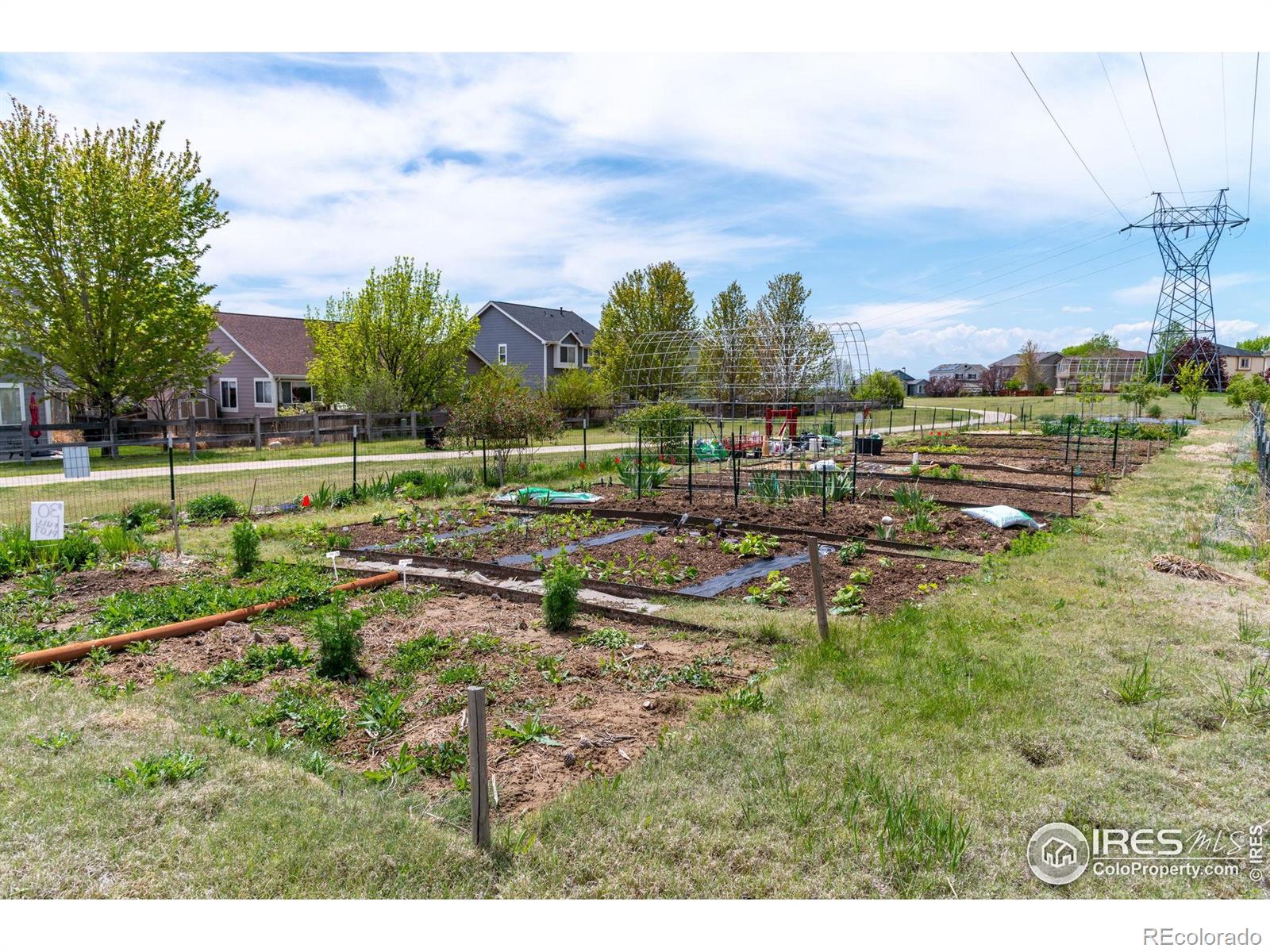 MLS Image #37 for 6721 e 114th avenue,thornton, Colorado