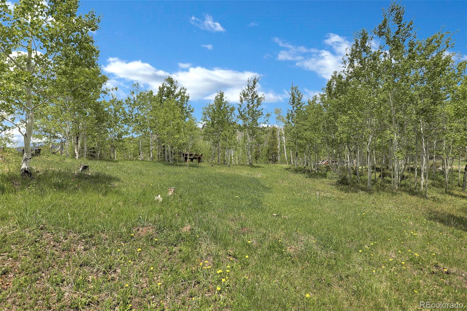 MLS Image #5 for 1121  gcr 2416 ,kremmling, Colorado