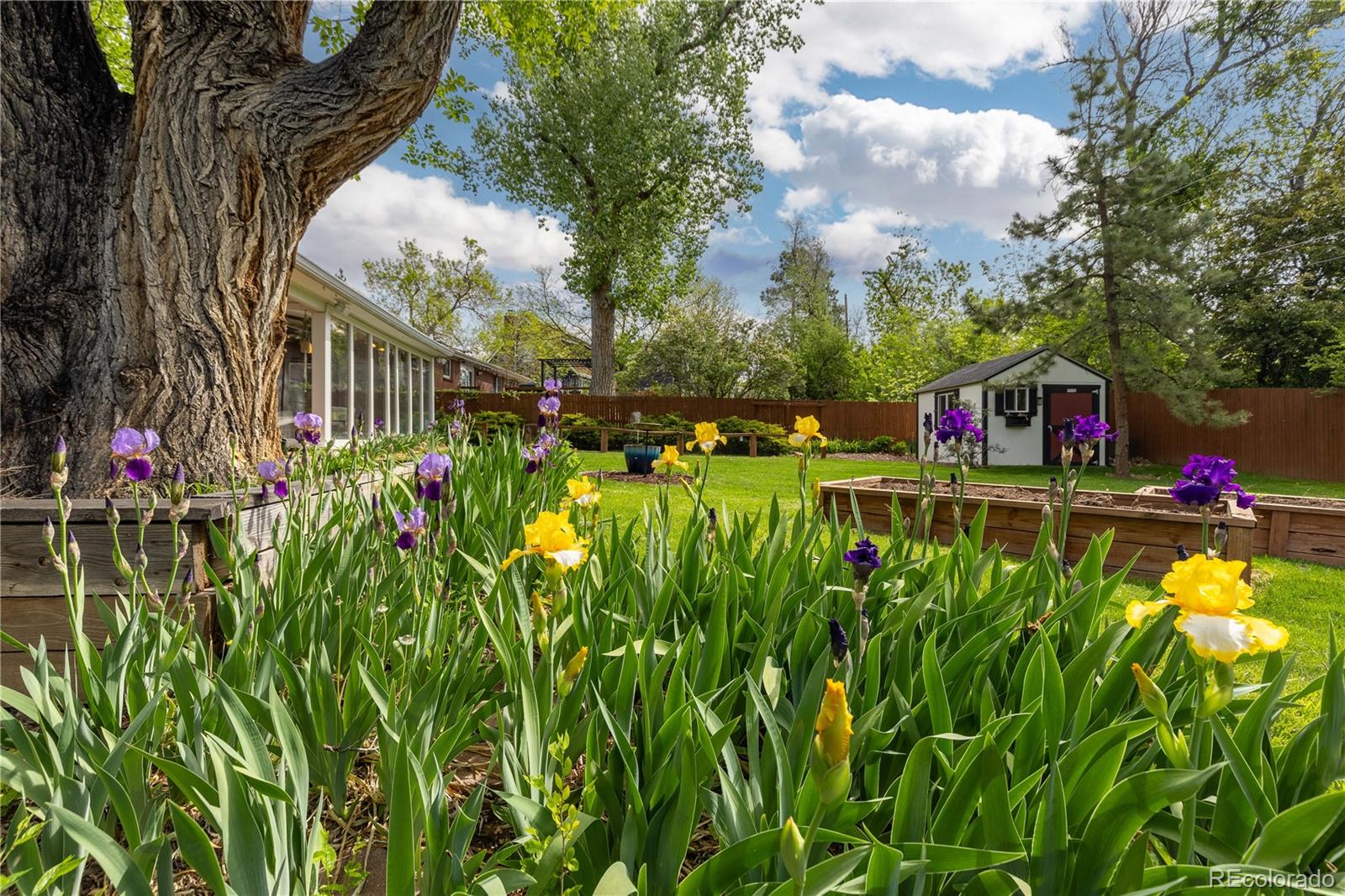 MLS Image #39 for 8390 e davies place,centennial, Colorado