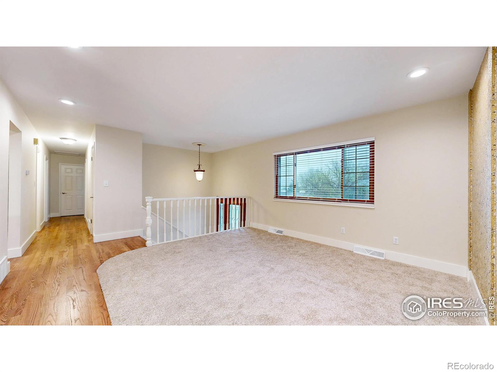 MLS Image #5 for 8351  ralph lane,denver, Colorado