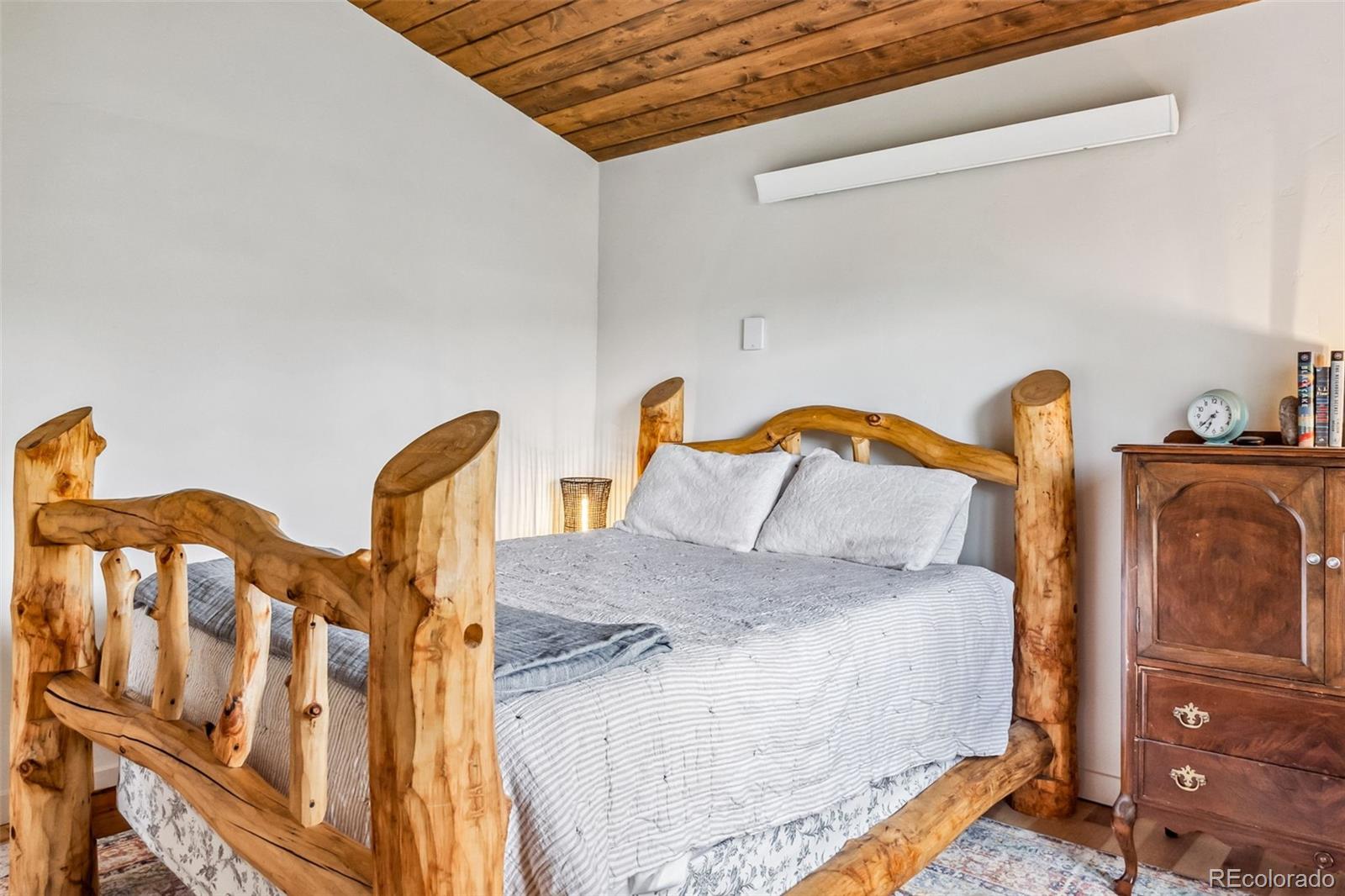 MLS Image #14 for 530  castello avenue,fairplay, Colorado
