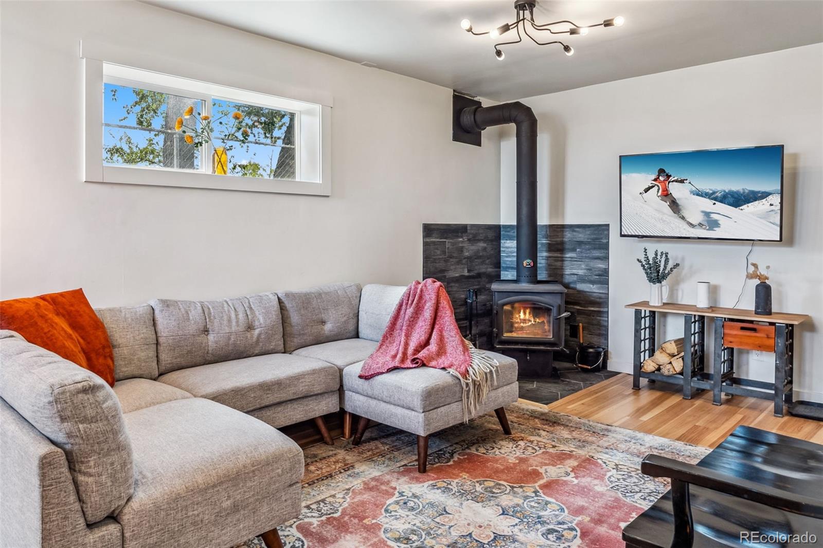 MLS Image #25 for 530  castello avenue,fairplay, Colorado