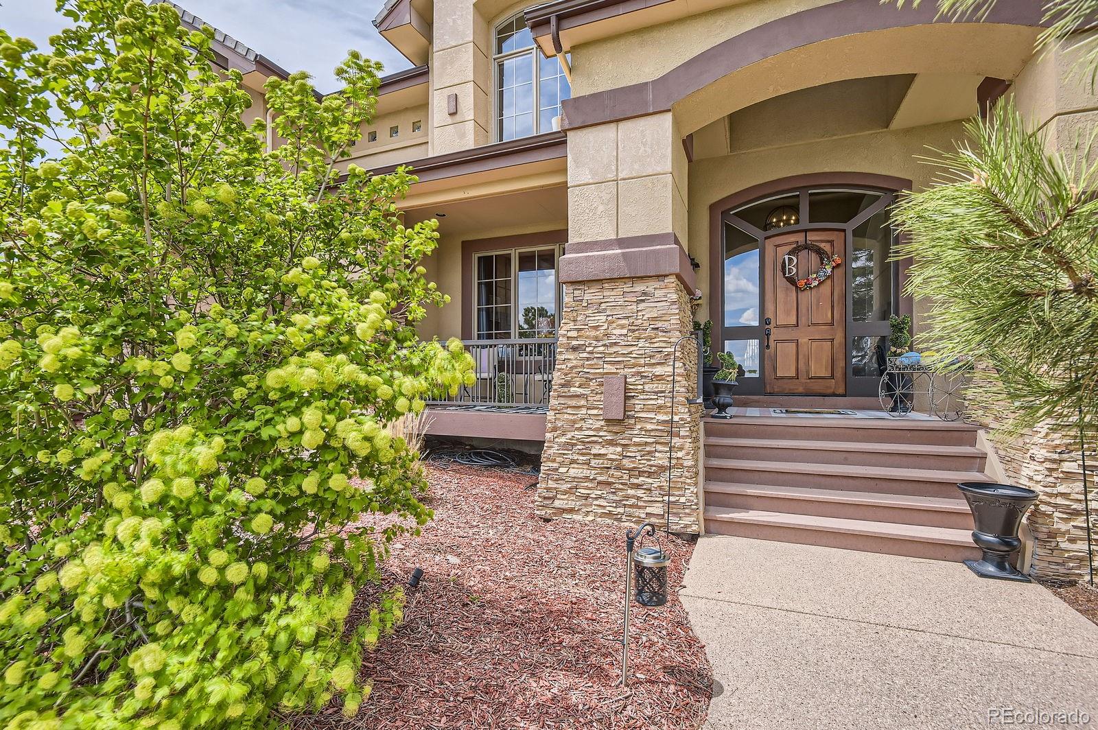 MLS Image #2 for 6411  sand rose court,castle rock, Colorado