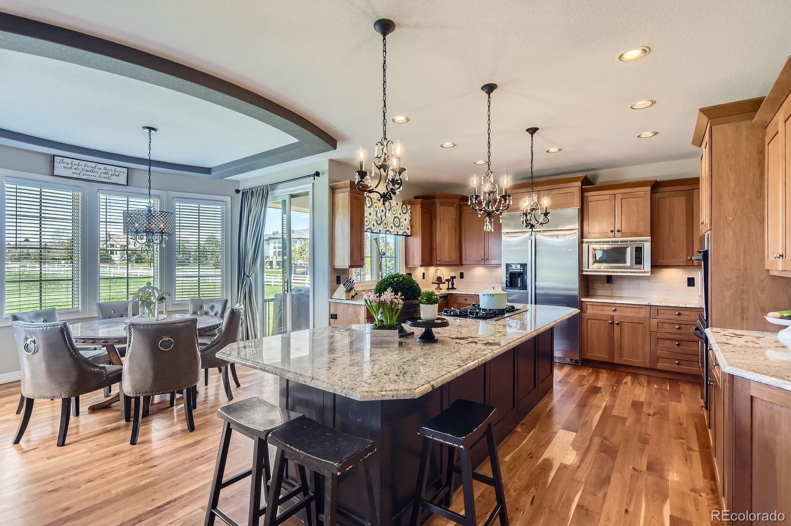 MLS Image #7 for 6411  sand rose court,castle rock, Colorado
