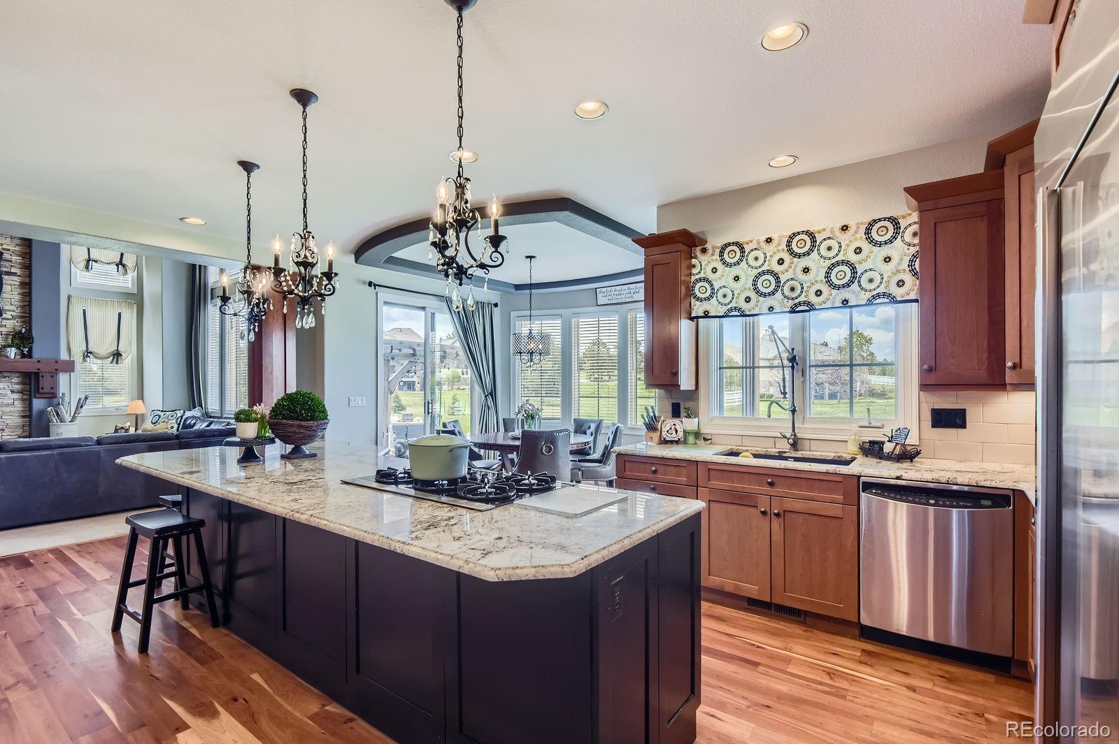 MLS Image #8 for 6411  sand rose court,castle rock, Colorado