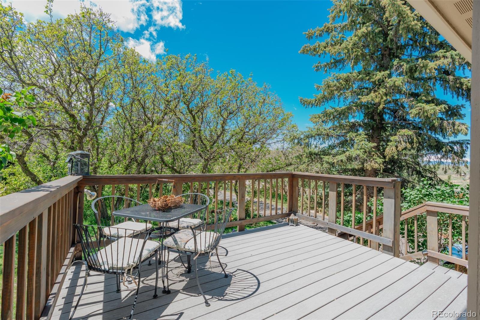 MLS Image #3 for 6334  cherokee drive,sedalia, Colorado
