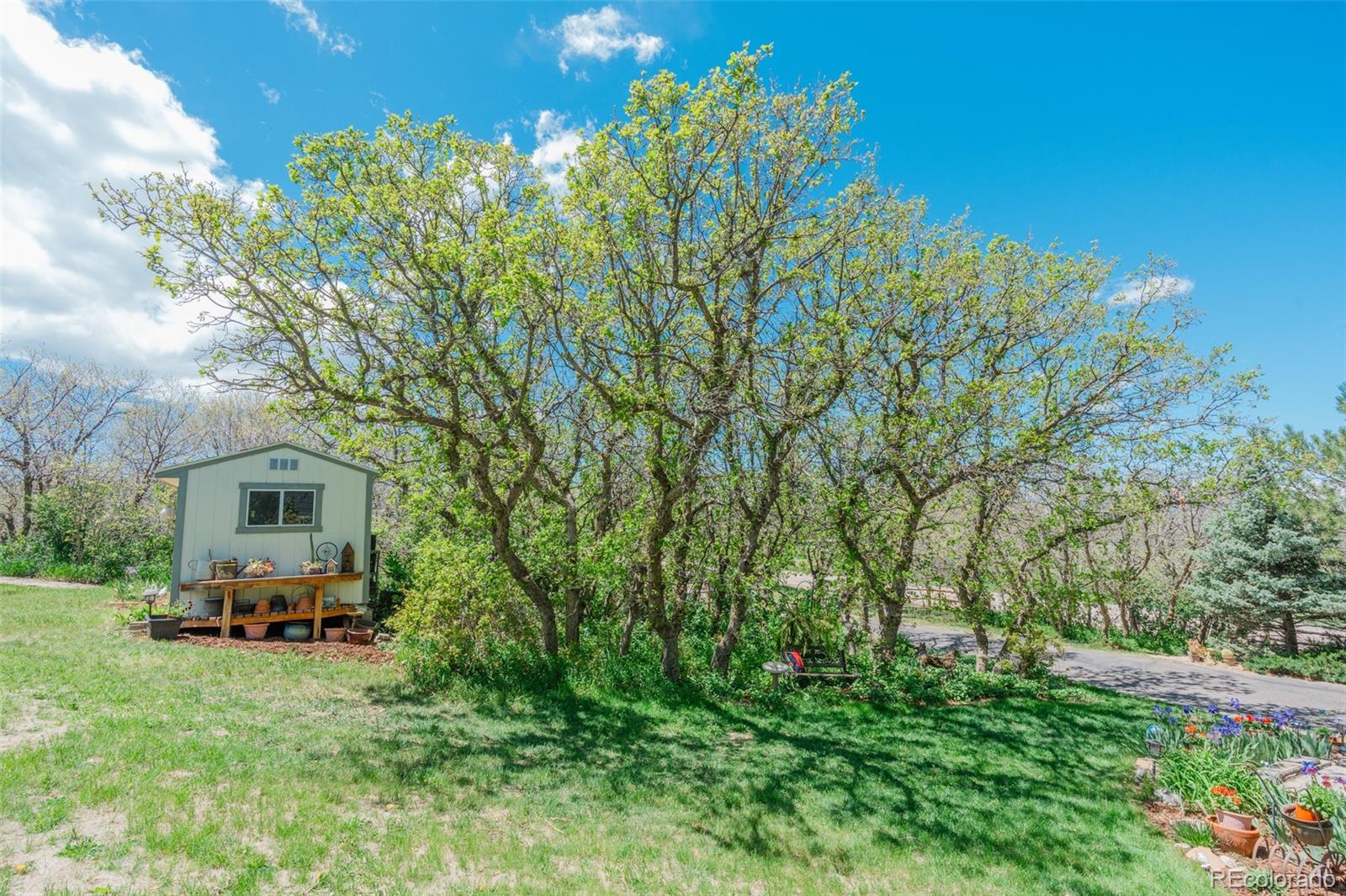 MLS Image #36 for 6334  cherokee drive,sedalia, Colorado