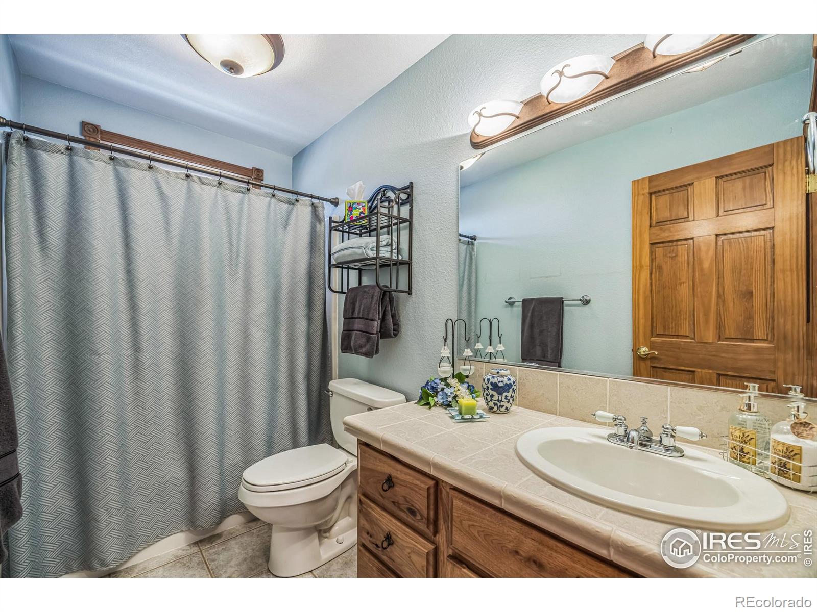MLS Image #14 for 117  mount sherman court,livermore, Colorado
