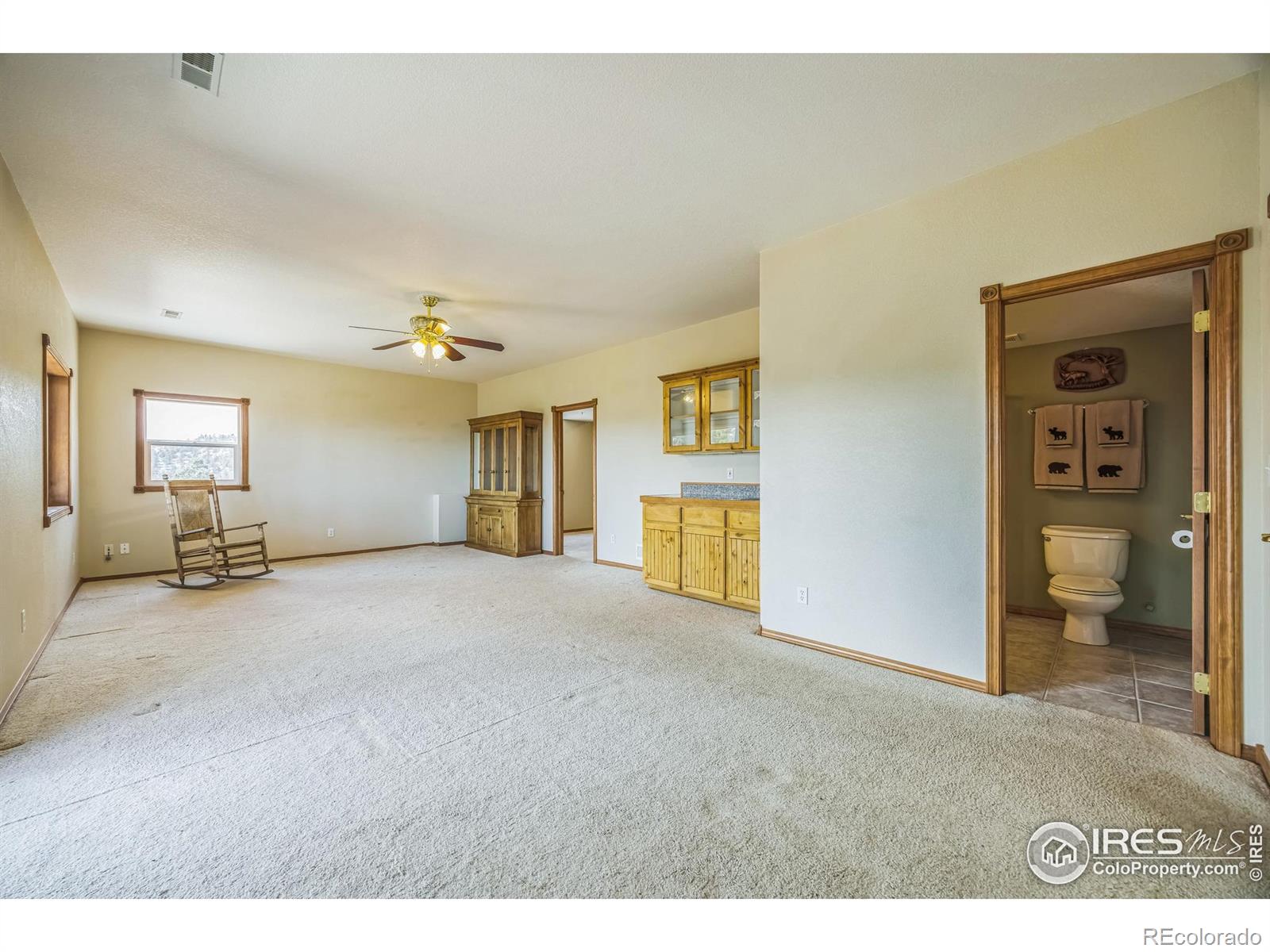MLS Image #15 for 117  mount sherman court,livermore, Colorado