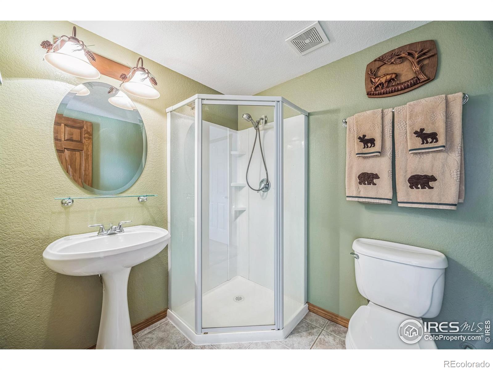 MLS Image #17 for 117  mount sherman court,livermore, Colorado