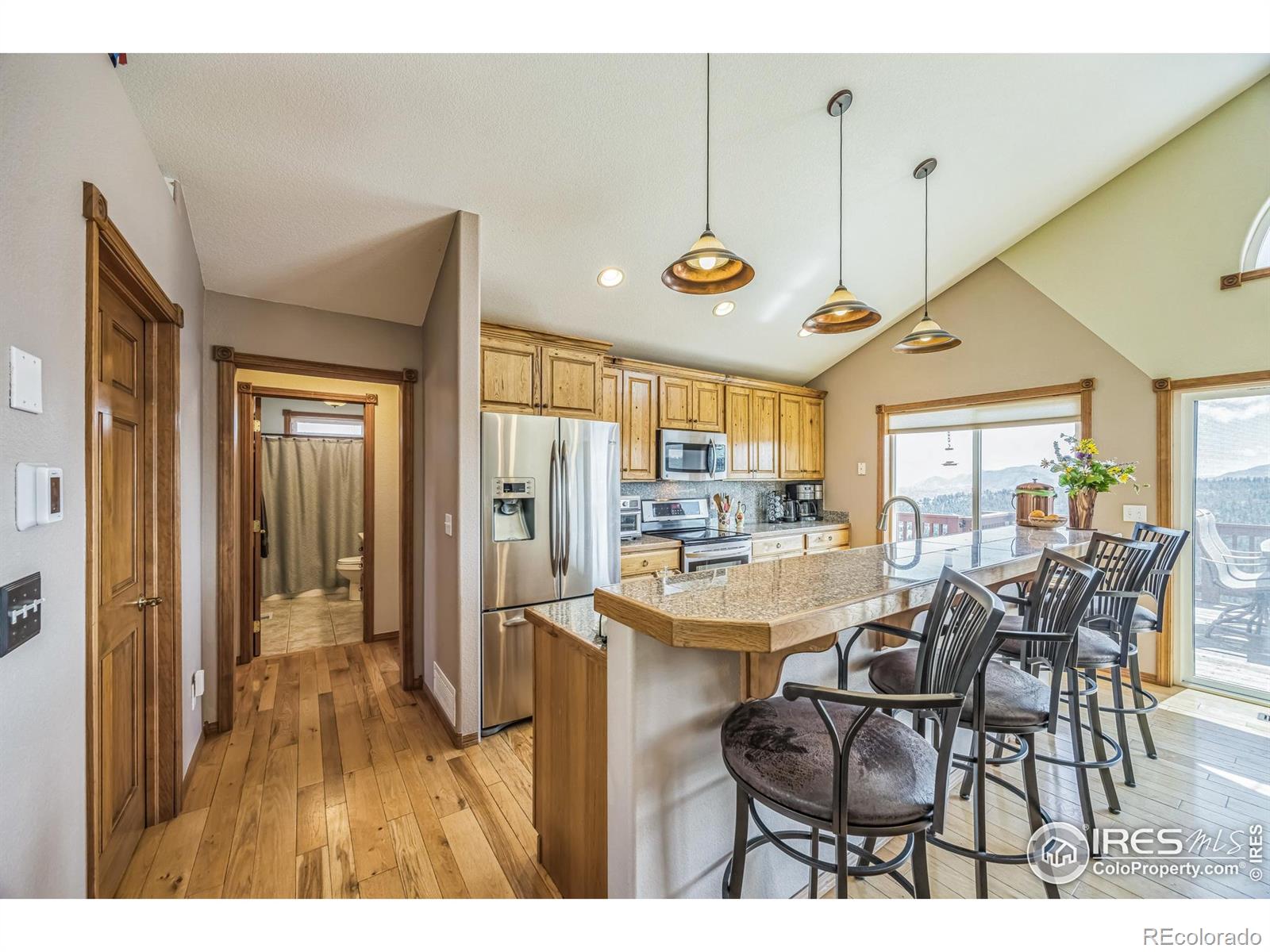 MLS Image #5 for 117  mount sherman court,livermore, Colorado