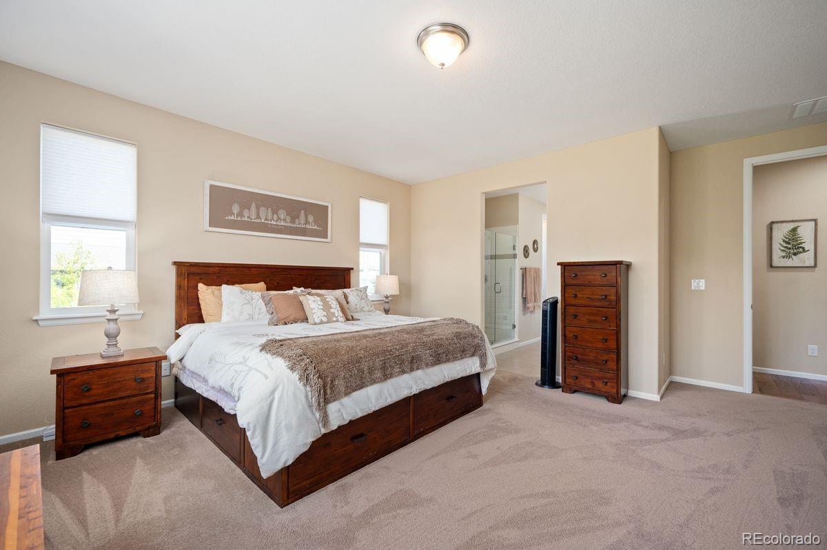 MLS Image #14 for 18067 e anthem drive,parker, Colorado