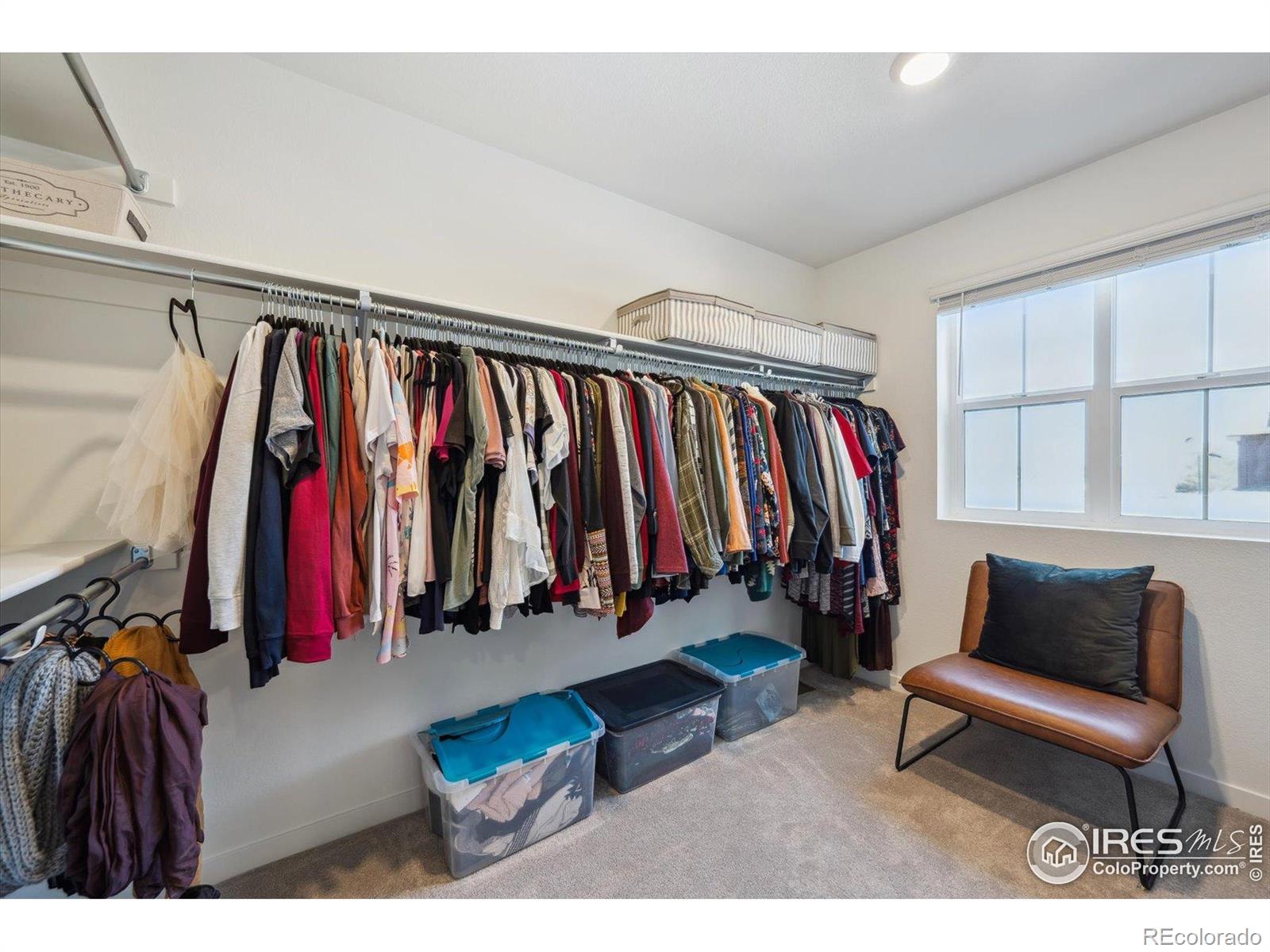 MLS Image #24 for 700  lillibrook place,erie, Colorado