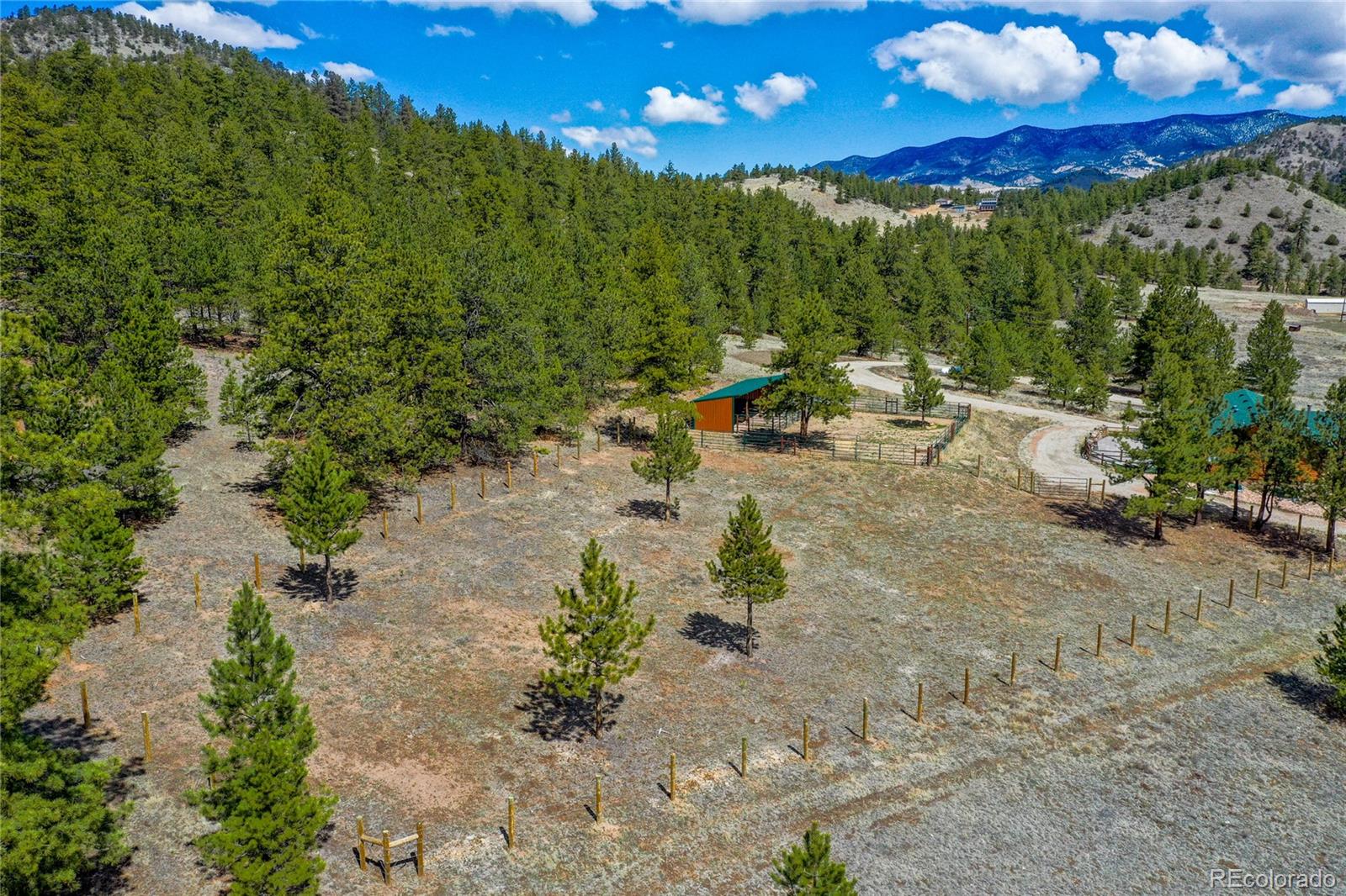 MLS Image #11 for 4623  state highway 9 ,guffey, Colorado