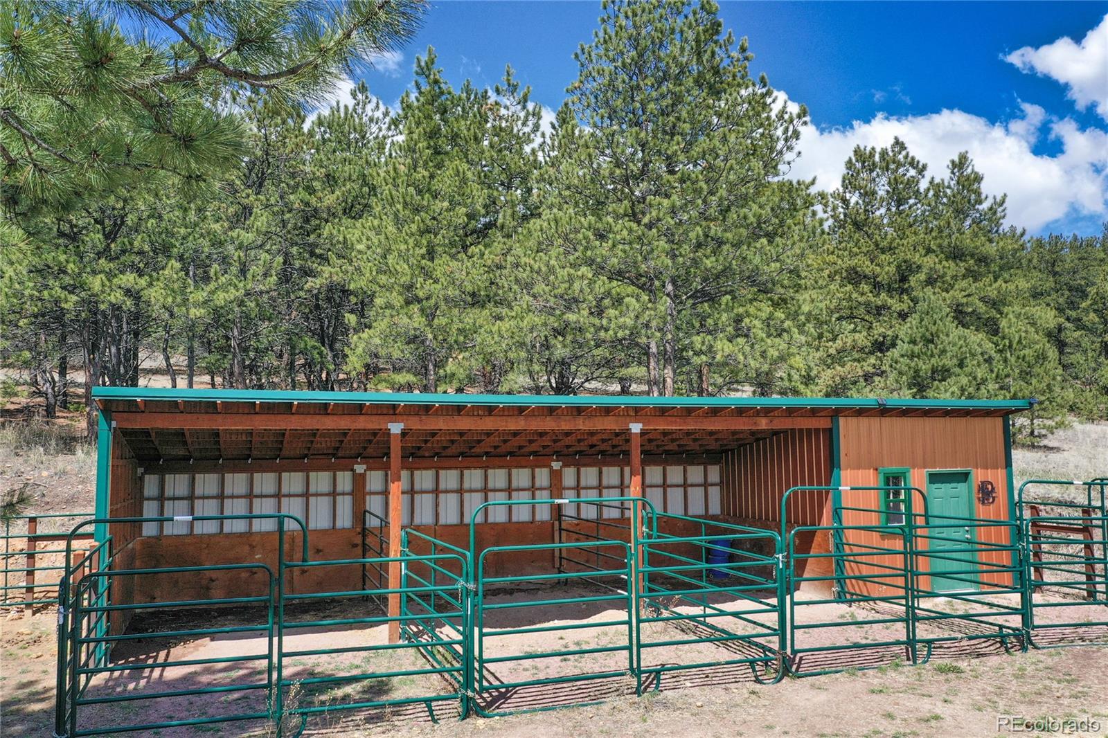 MLS Image #41 for 4623  state highway 9 ,guffey, Colorado