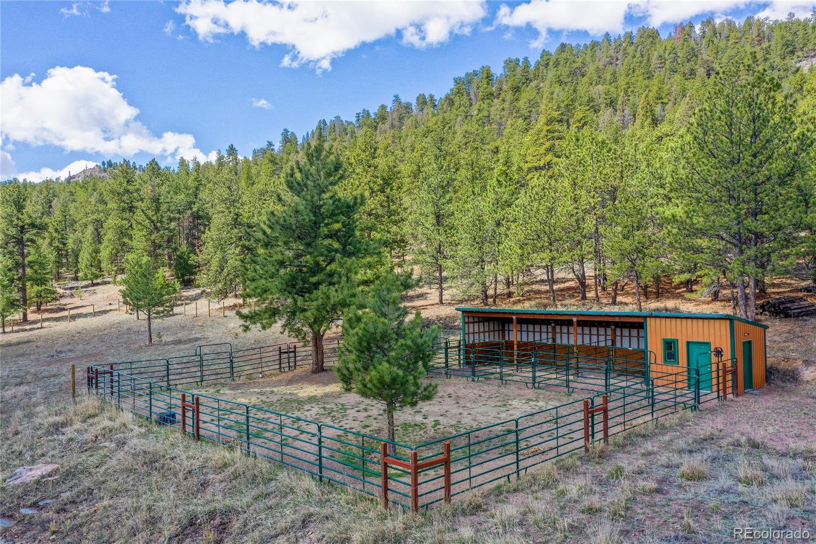 MLS Image #5 for 4623  state highway 9 ,guffey, Colorado