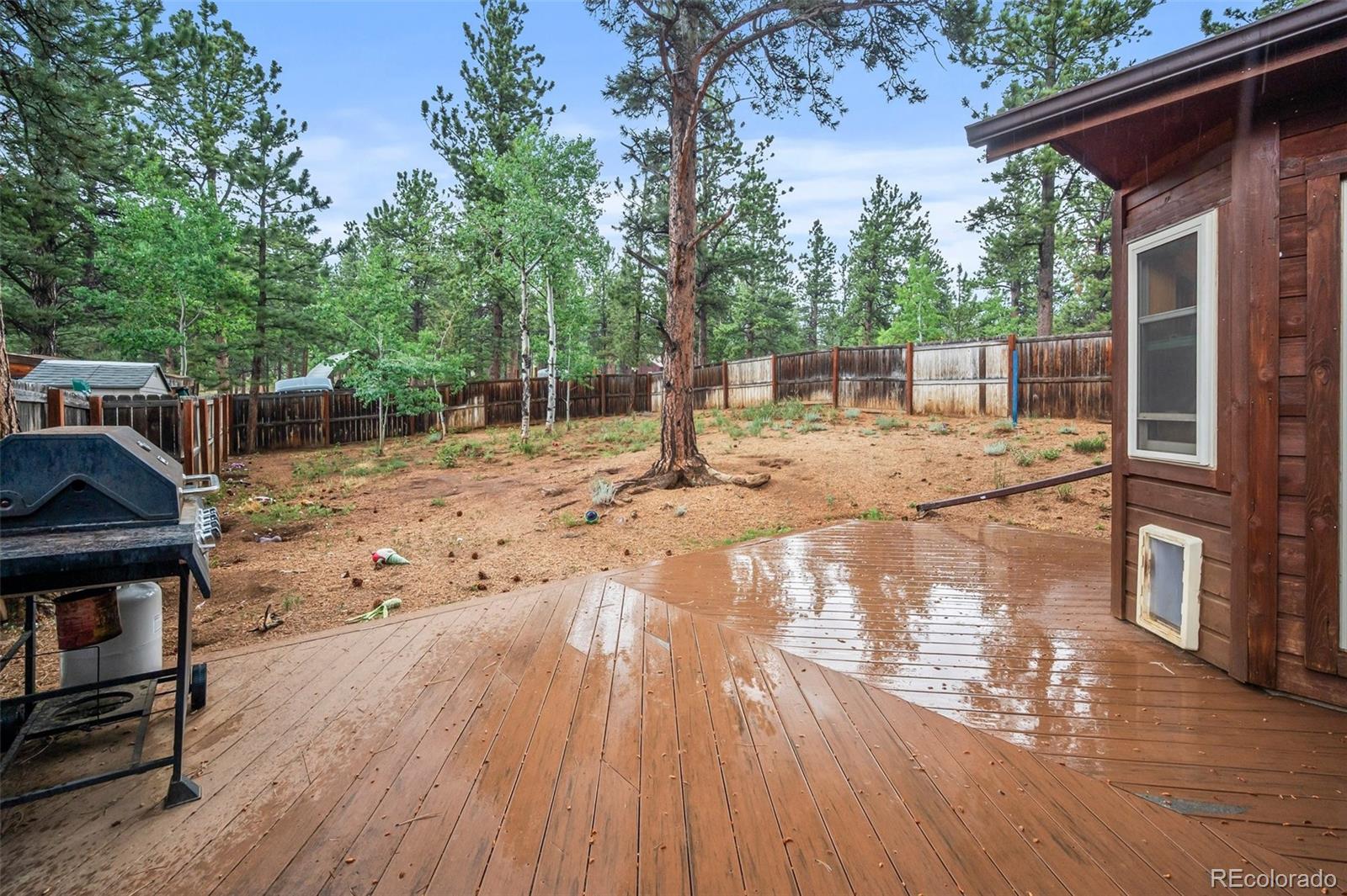 MLS Image #12 for 21  crystal rock road,bailey, Colorado