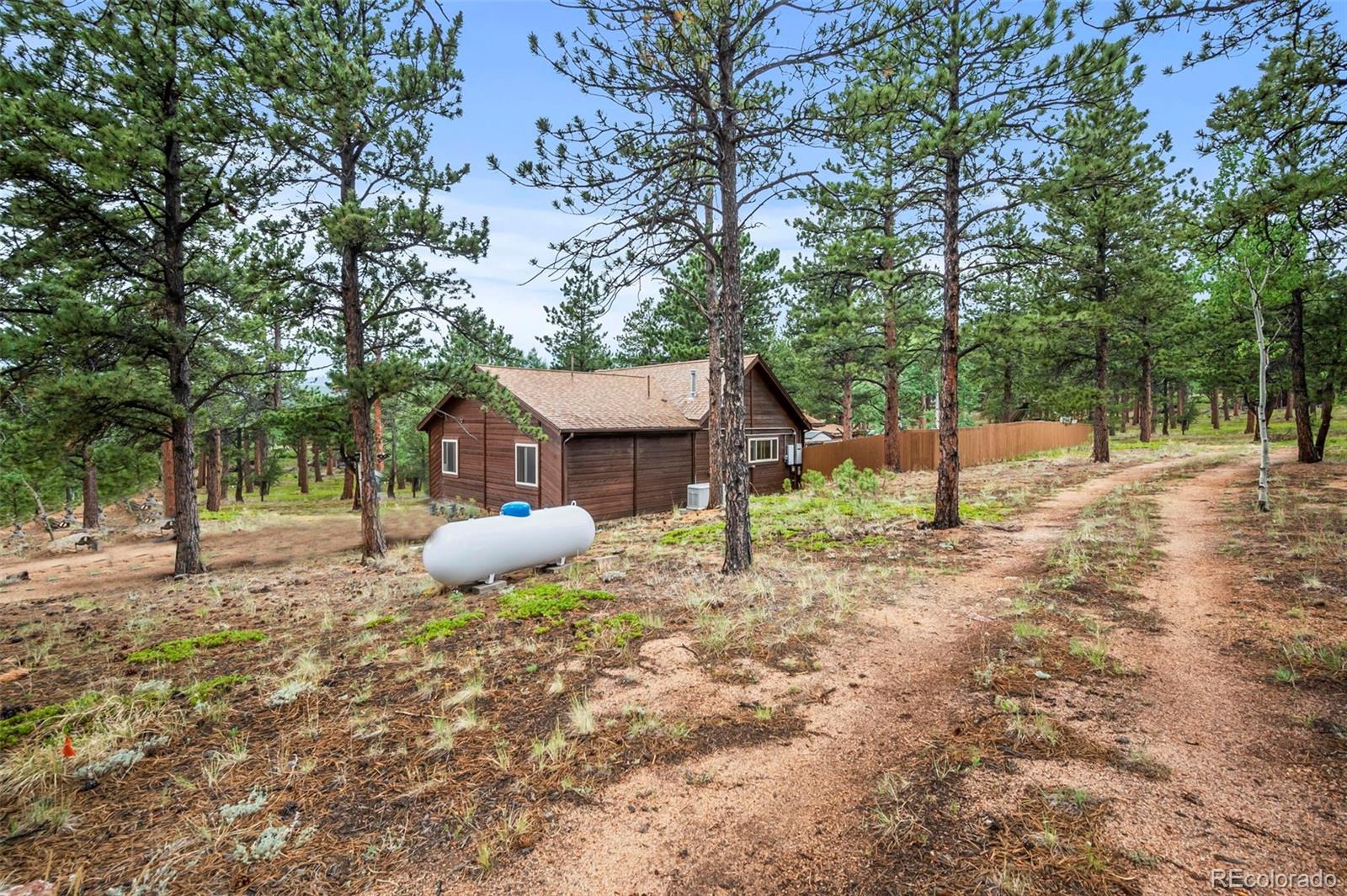 MLS Image #15 for 21  crystal rock road,bailey, Colorado