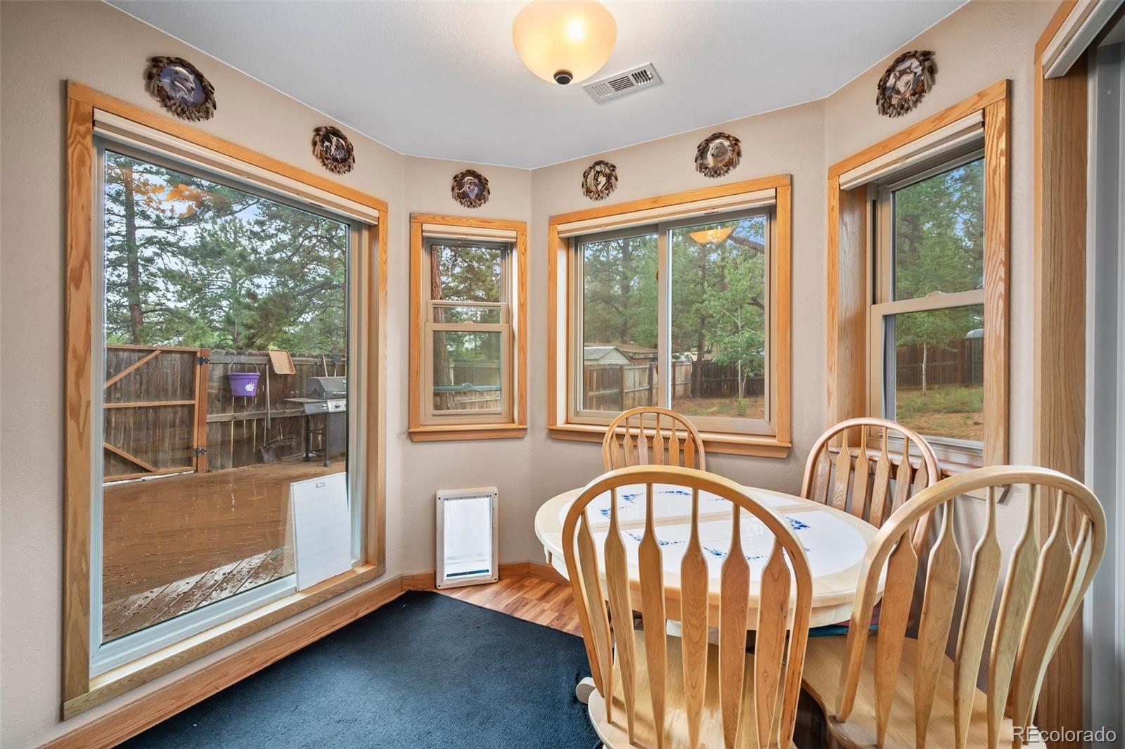 MLS Image #7 for 21  crystal rock road,bailey, Colorado