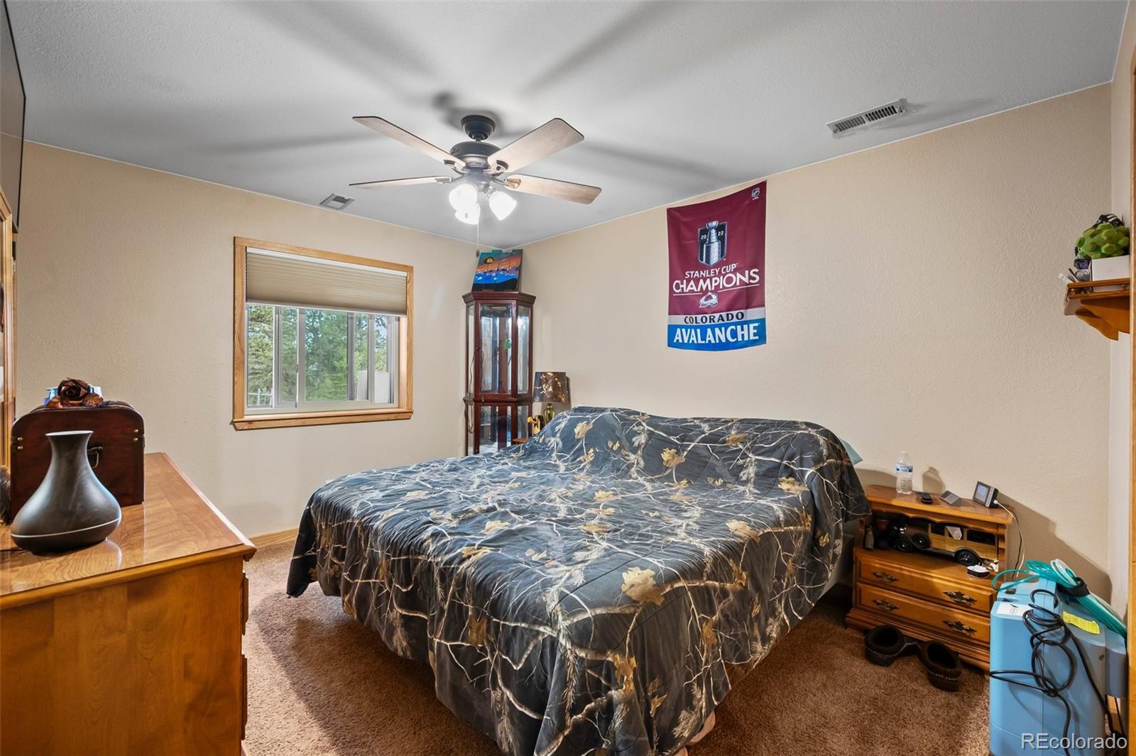 MLS Image #8 for 21  crystal rock road,bailey, Colorado
