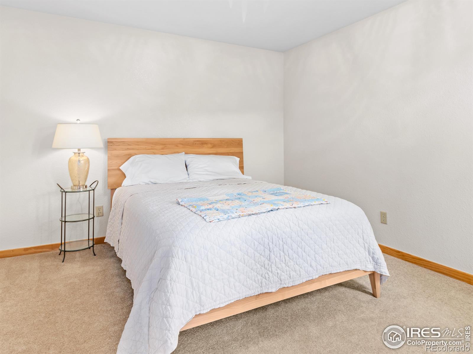MLS Image #20 for 880  crabapple lane,estes park, Colorado