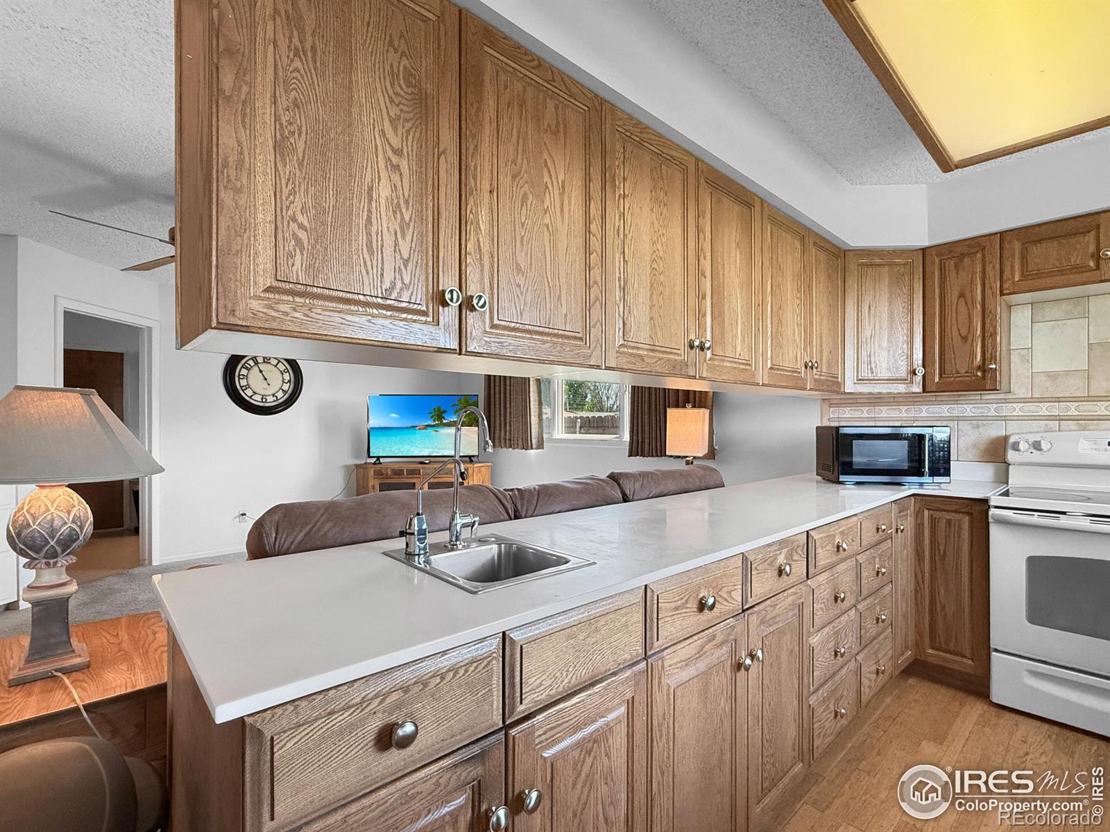 MLS Image #10 for 915  holly drive,sterling, Colorado