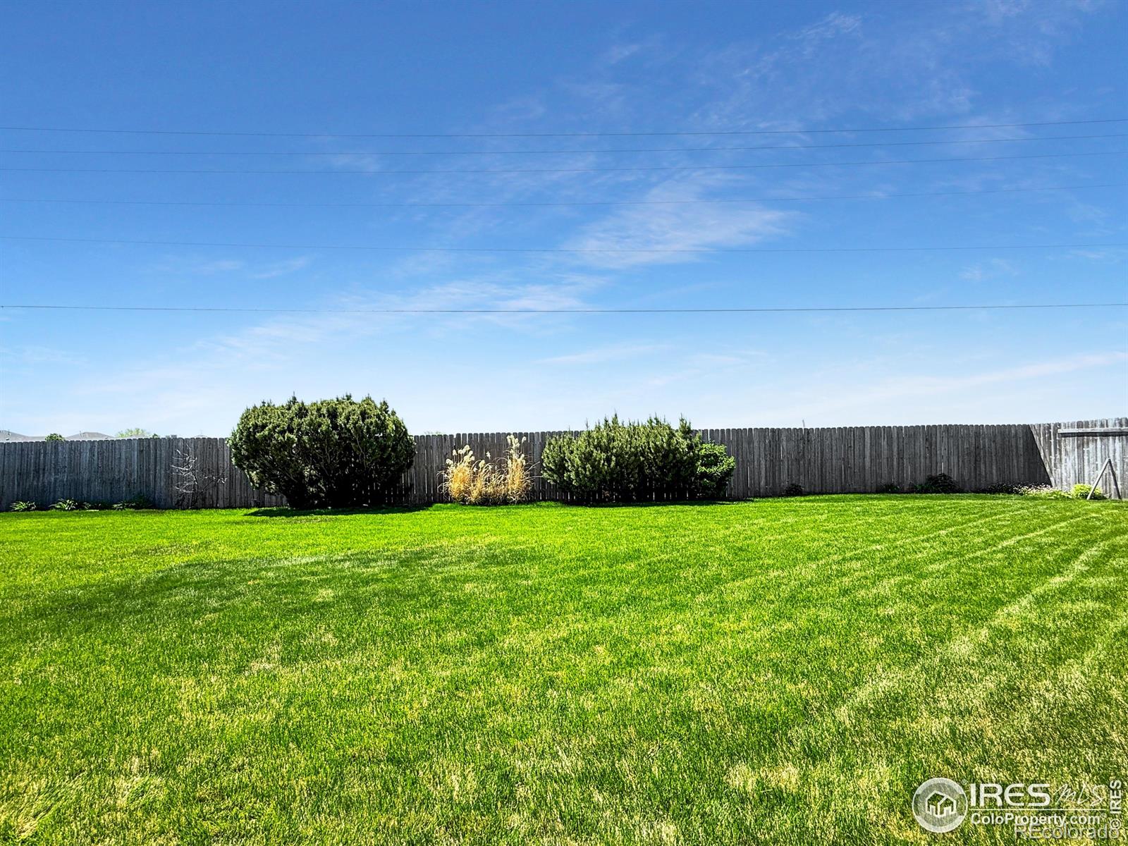 MLS Image #34 for 915  holly drive,sterling, Colorado
