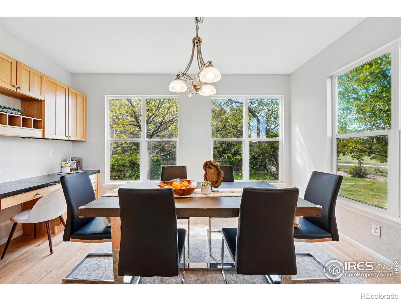 MLS Image #12 for 2290  cottonwood place,erie, Colorado