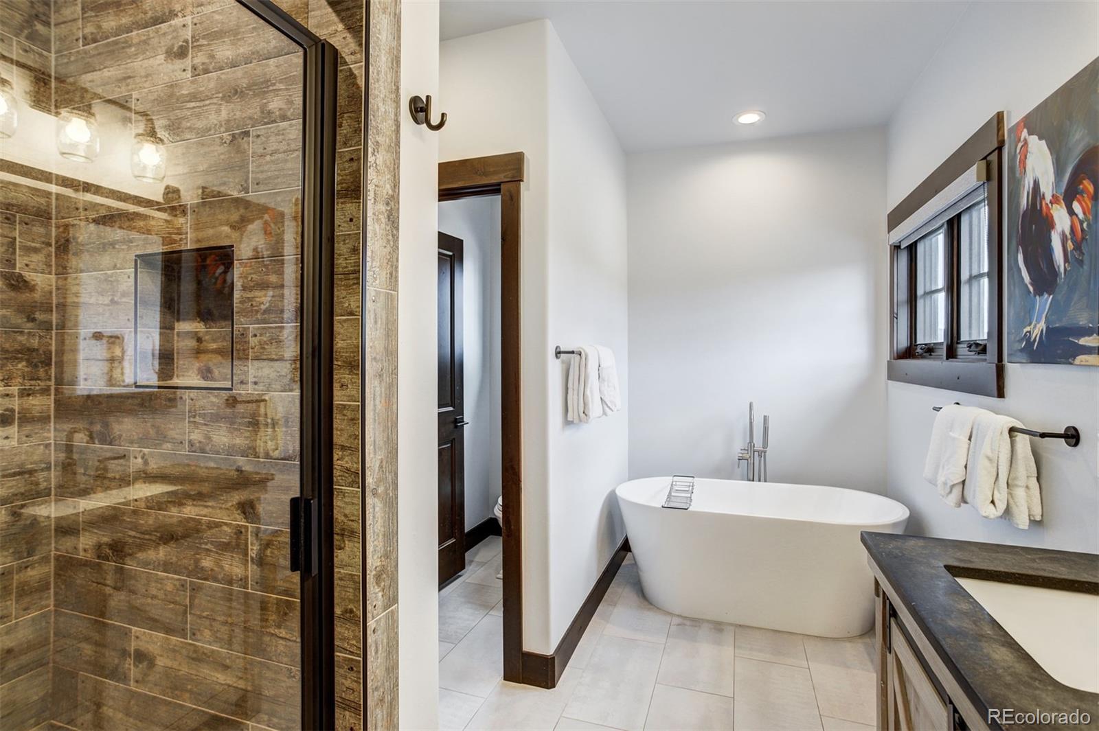 MLS Image #15 for 200  quill ,fraser, Colorado