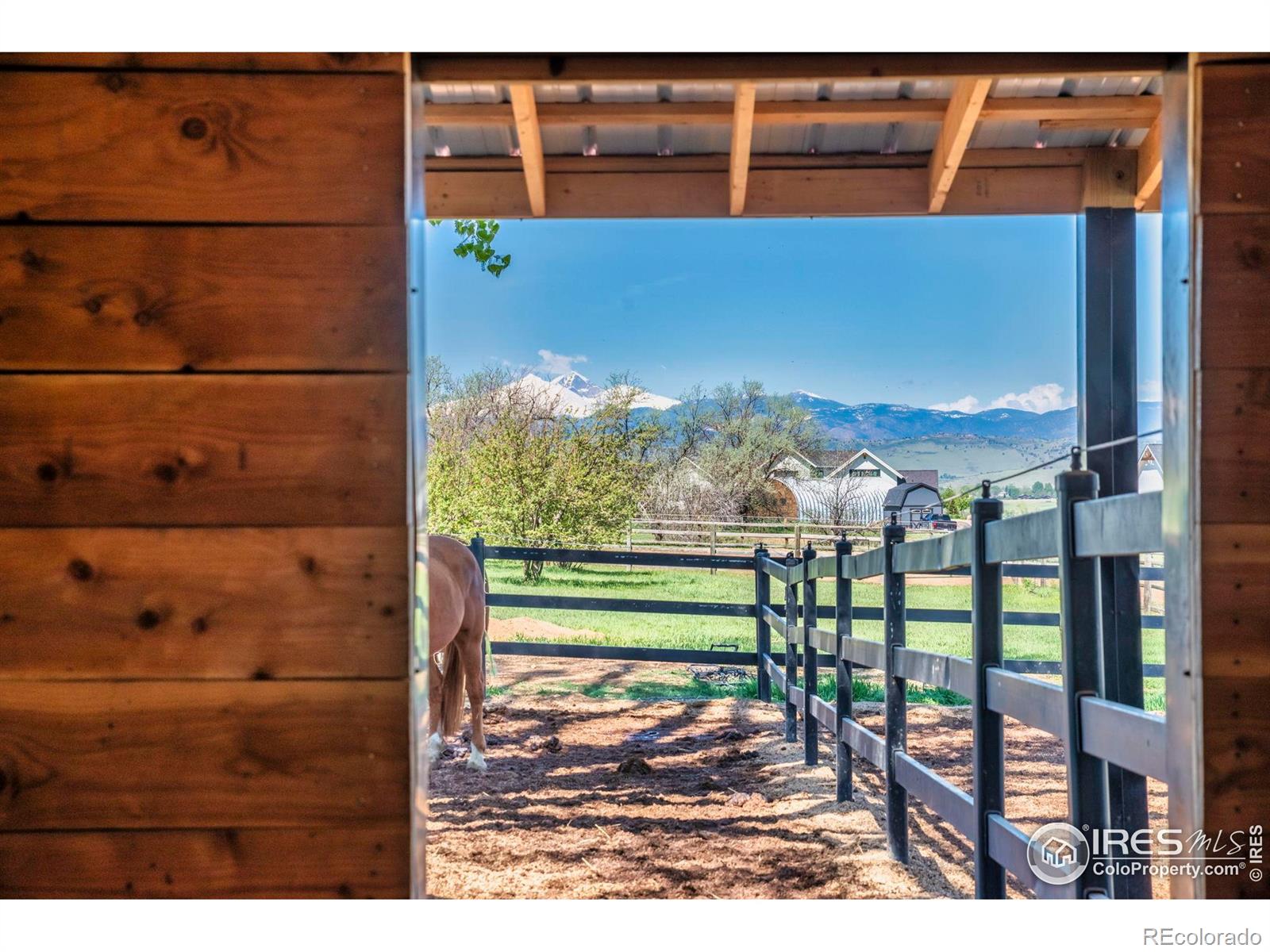 MLS Image #2 for 2017  vaquero street,longmont, Colorado