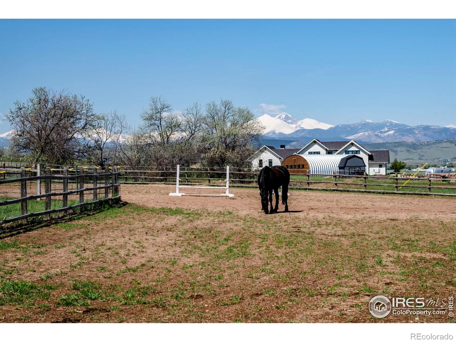 MLS Image #3 for 2017  vaquero street,longmont, Colorado