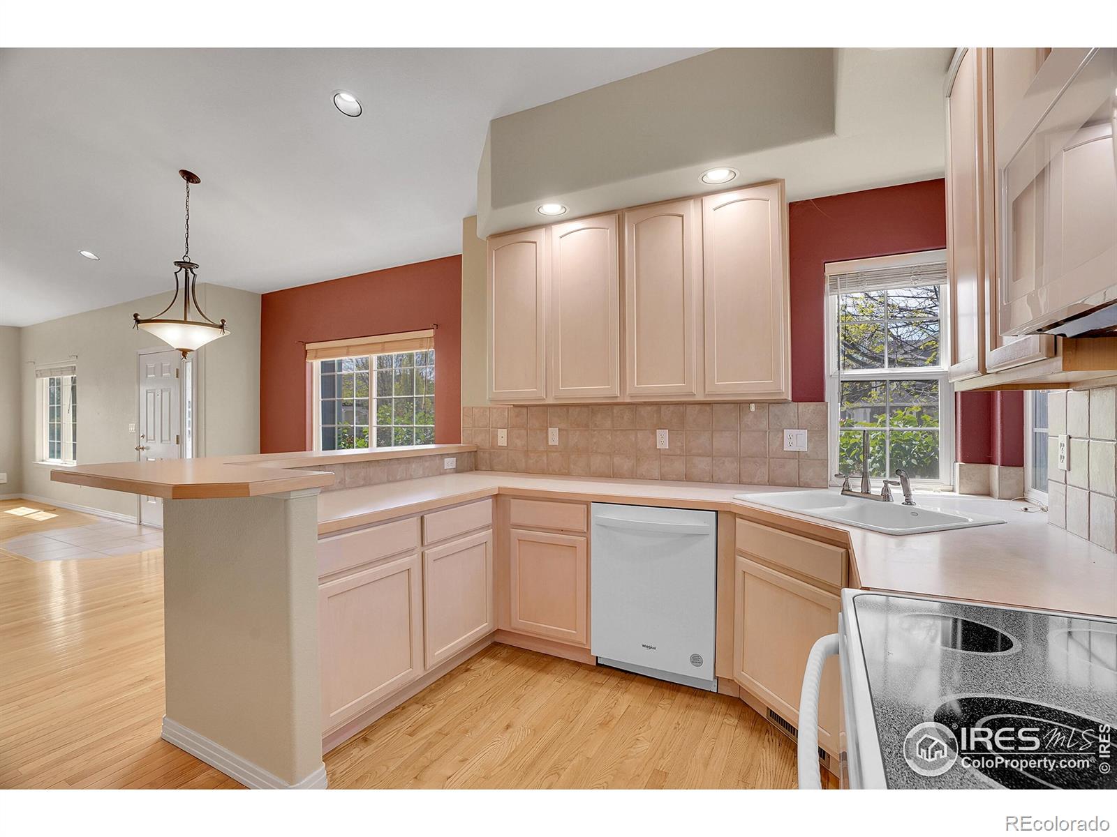 MLS Image #11 for 3742  florentine circle,longmont, Colorado