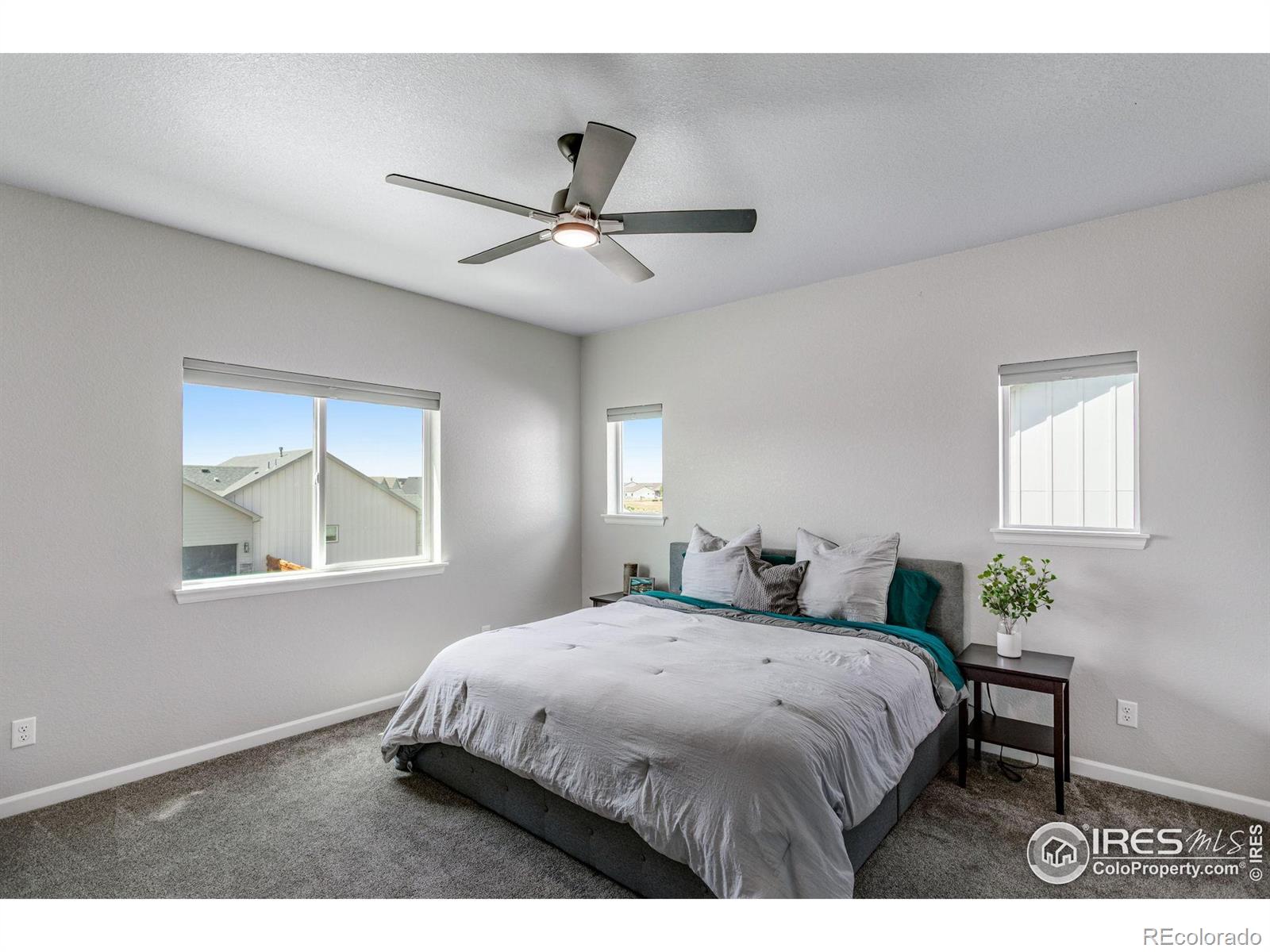 MLS Image #16 for 244  hillspire drive,windsor, Colorado