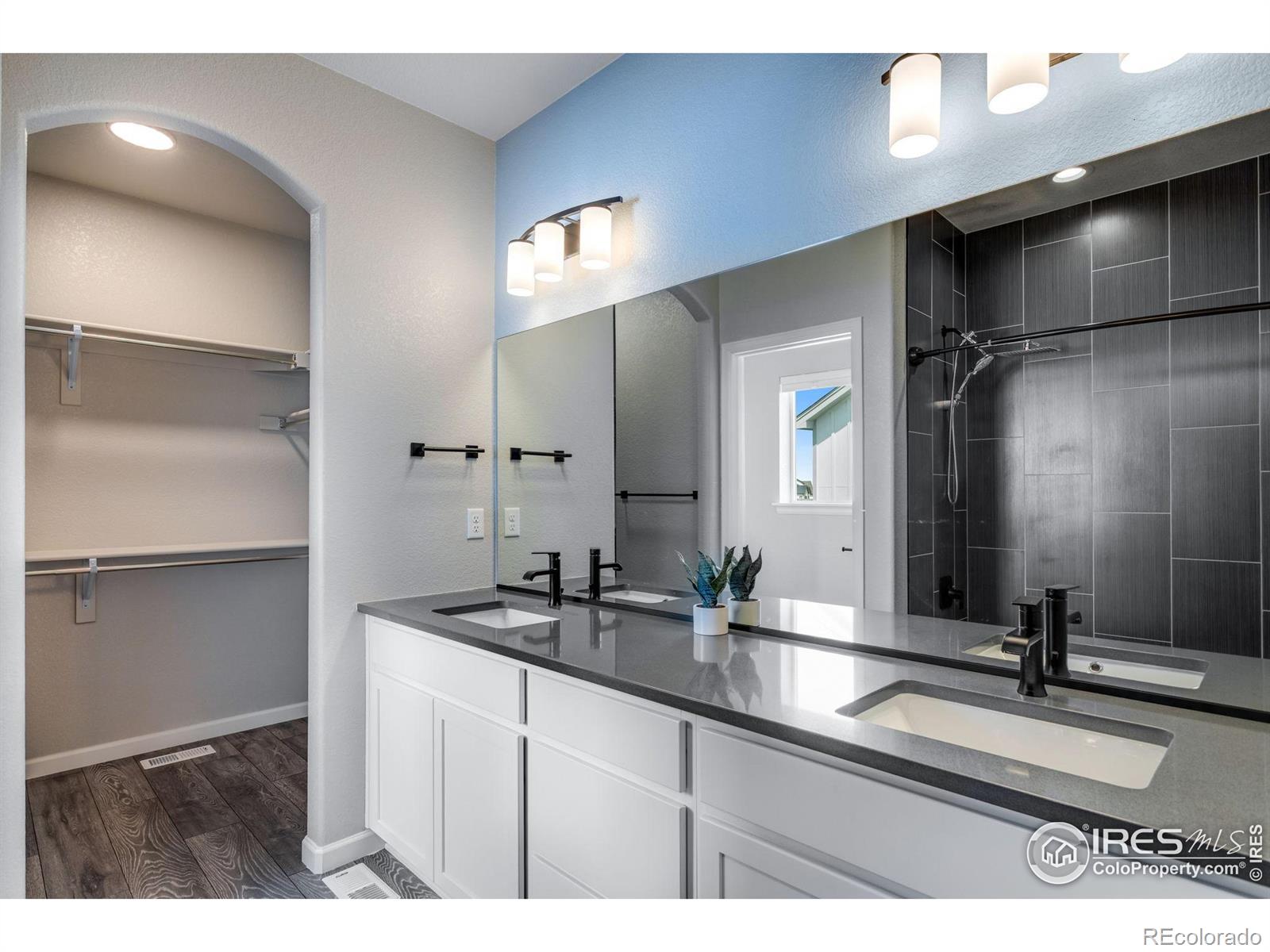 MLS Image #18 for 244  hillspire drive,windsor, Colorado