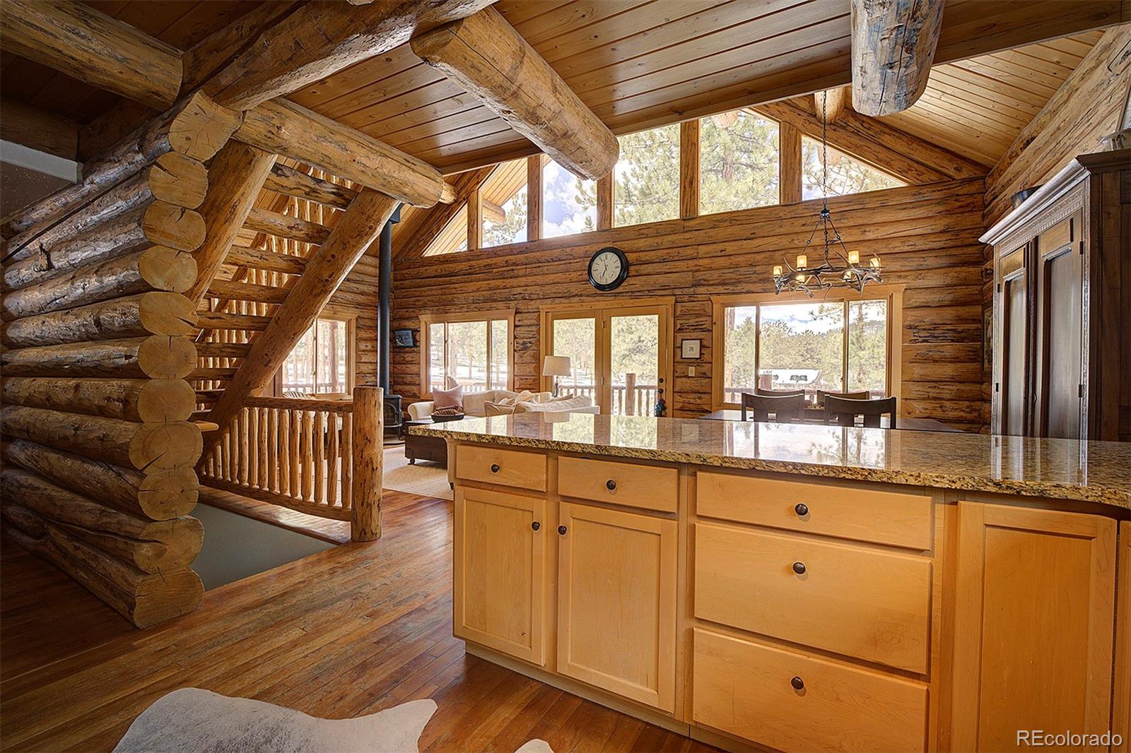 MLS Image #10 for 58  conestoga court,bailey, Colorado