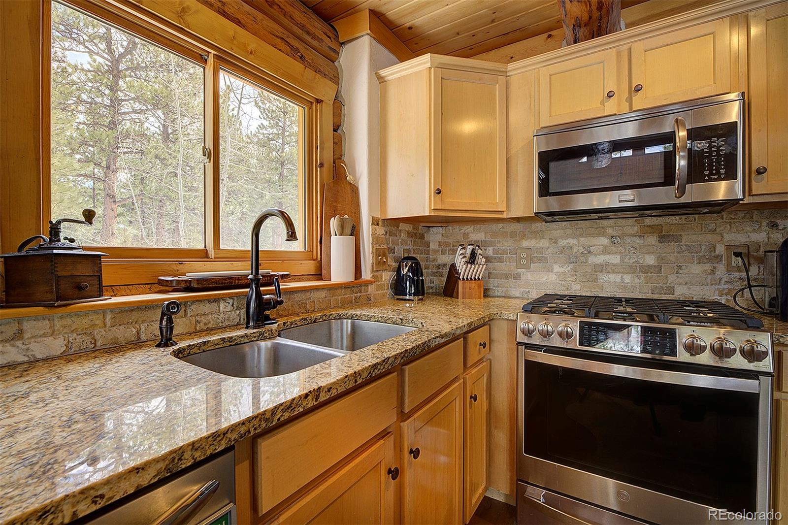 MLS Image #11 for 58  conestoga court,bailey, Colorado